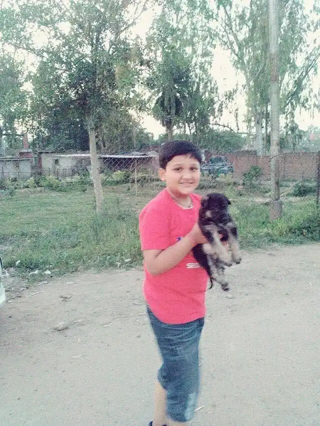 image-5