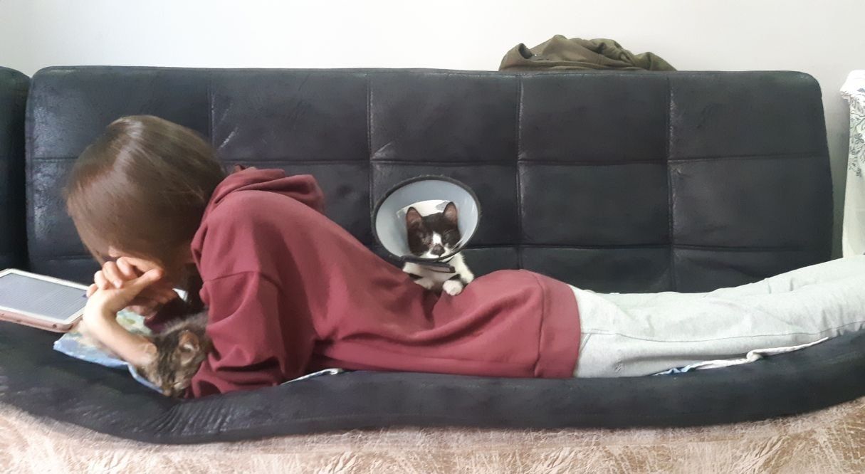 image-3