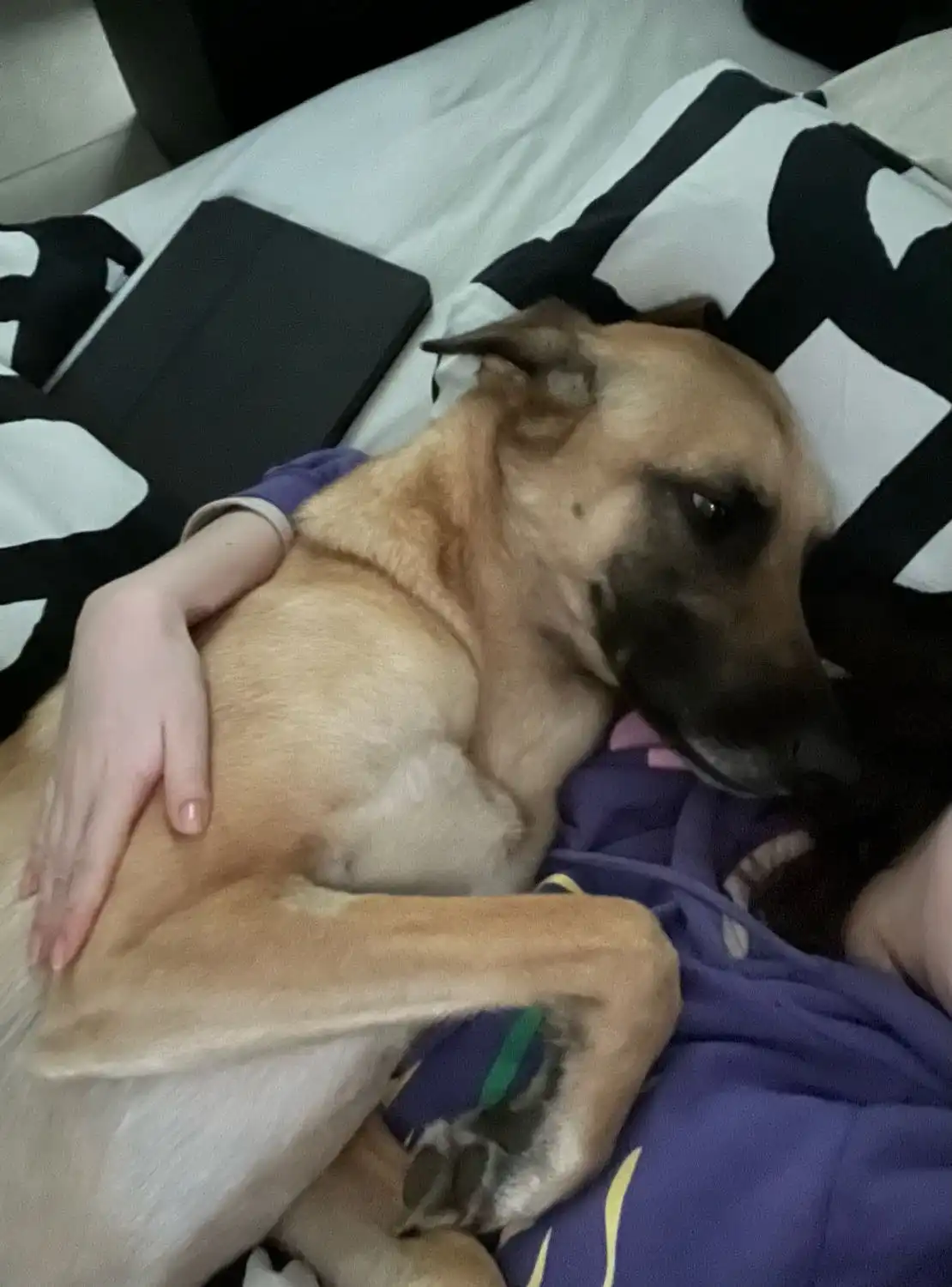 image-7