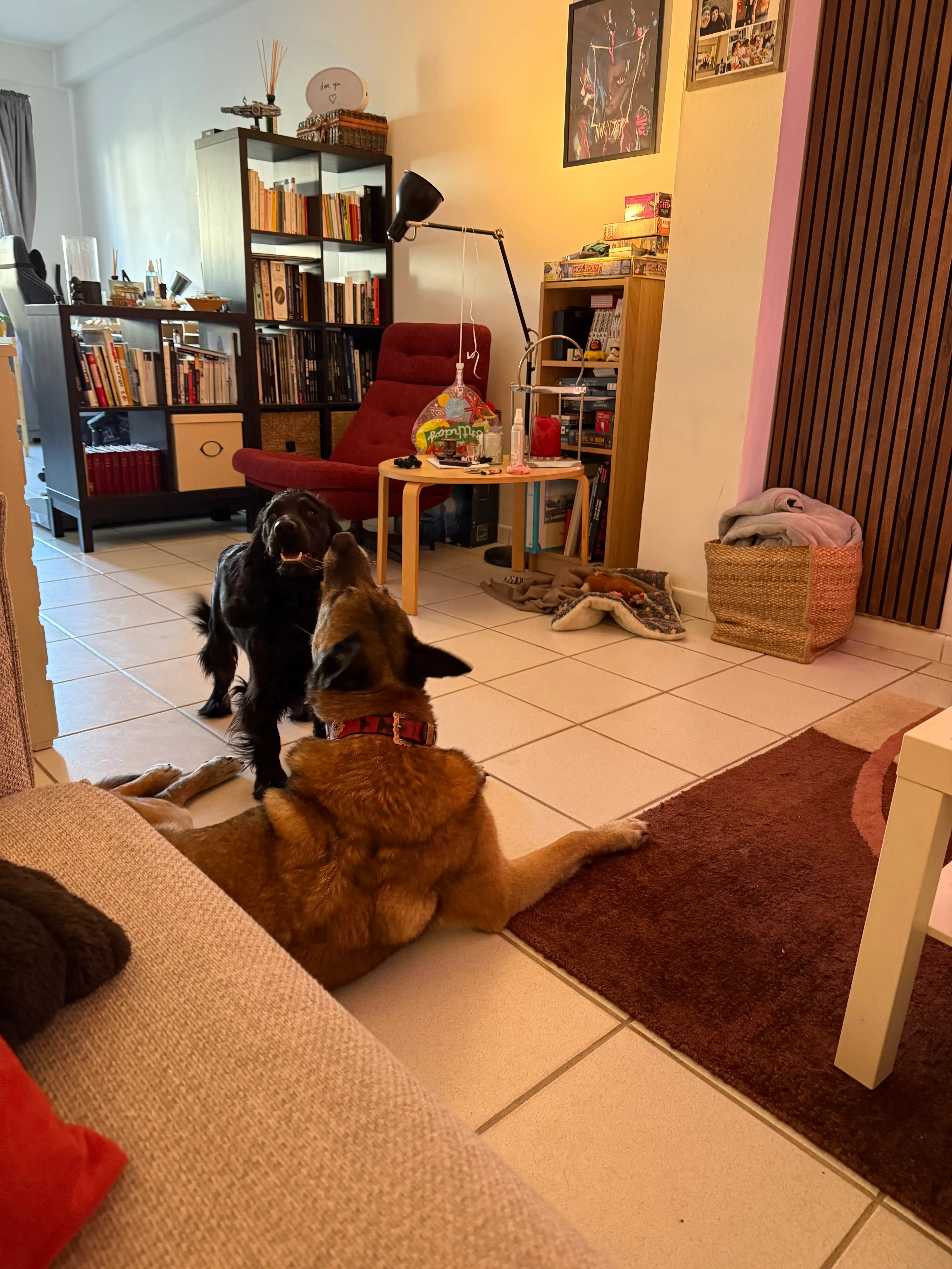 image-22