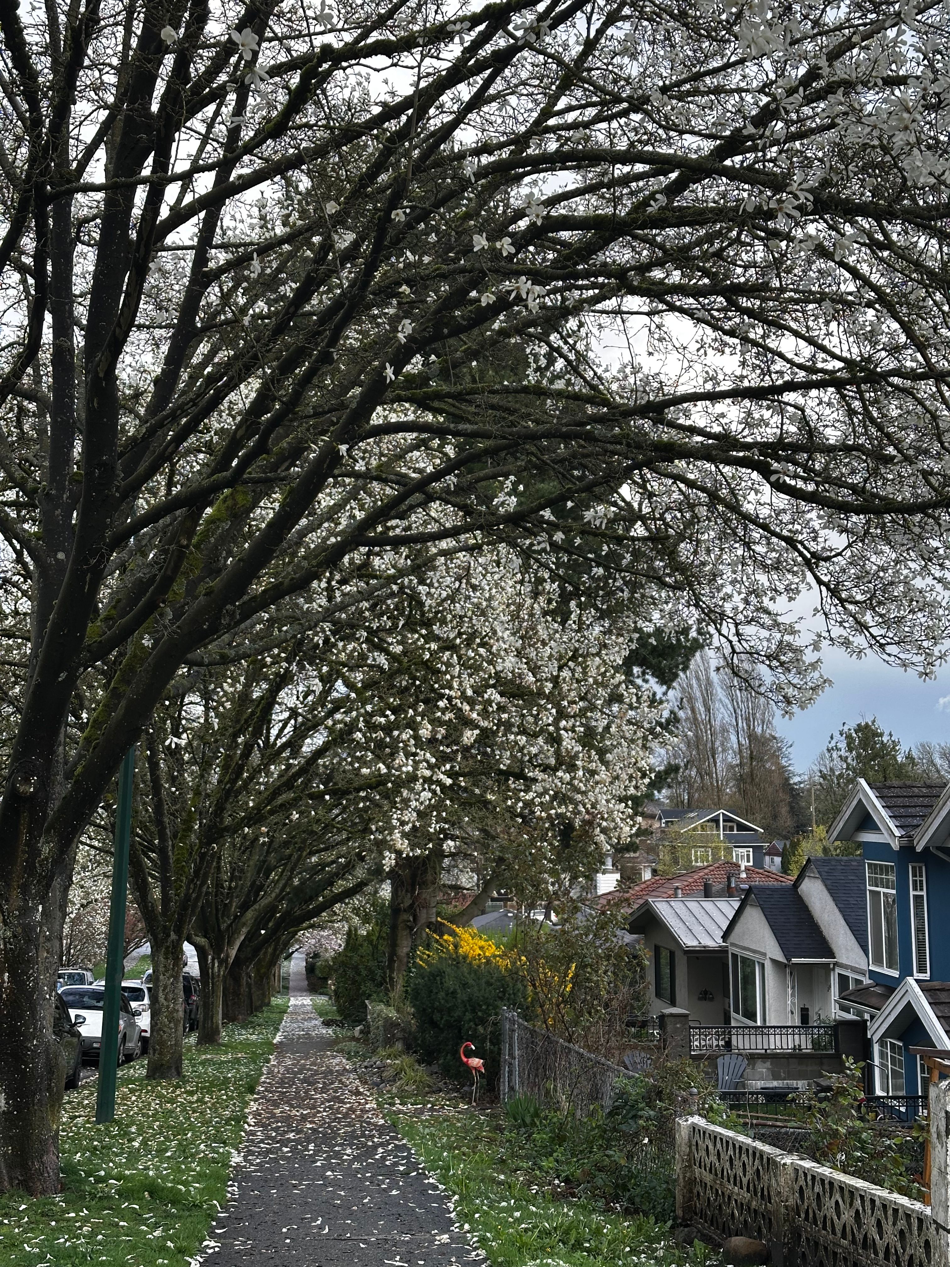 image-17