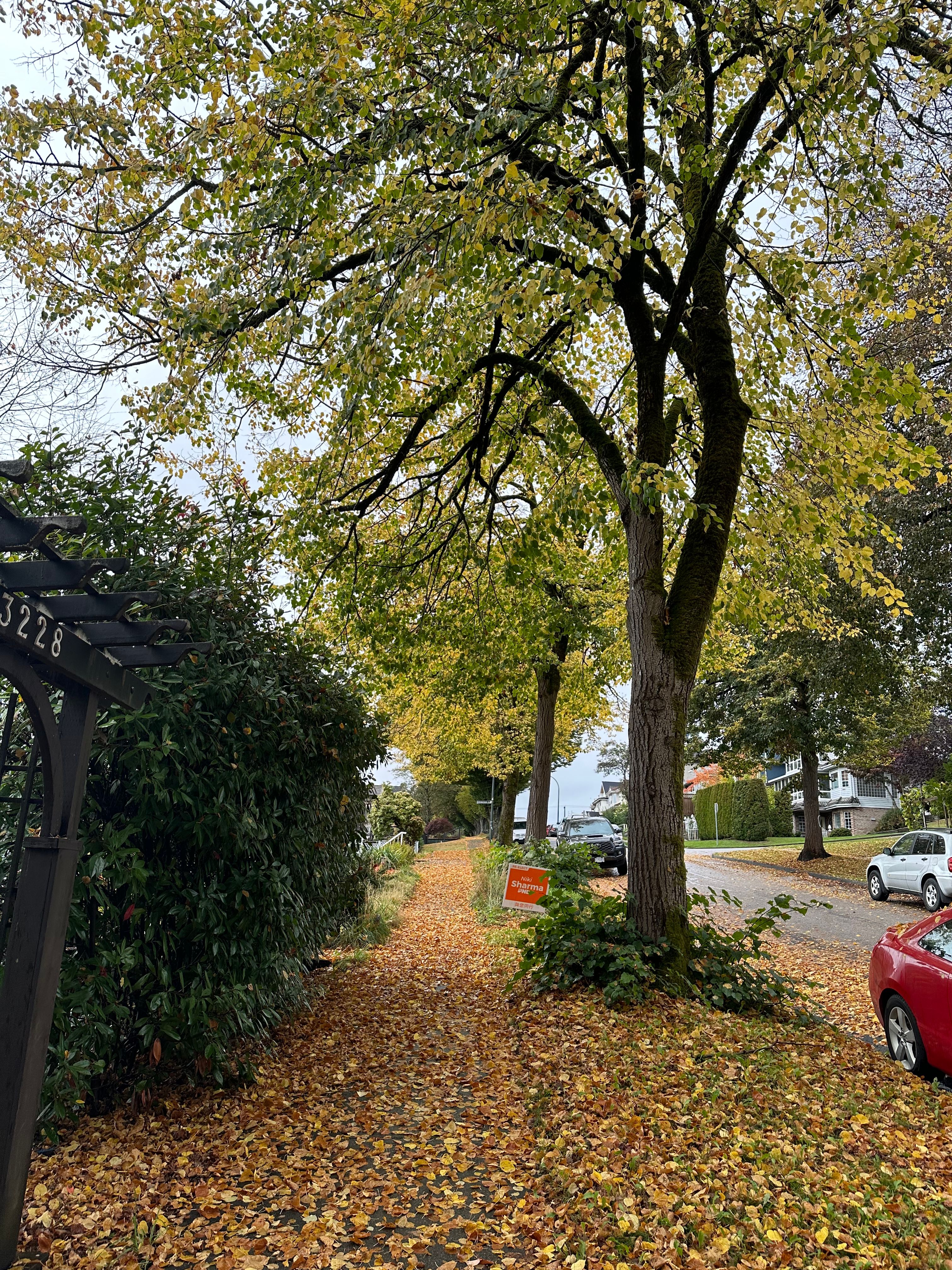 image-18