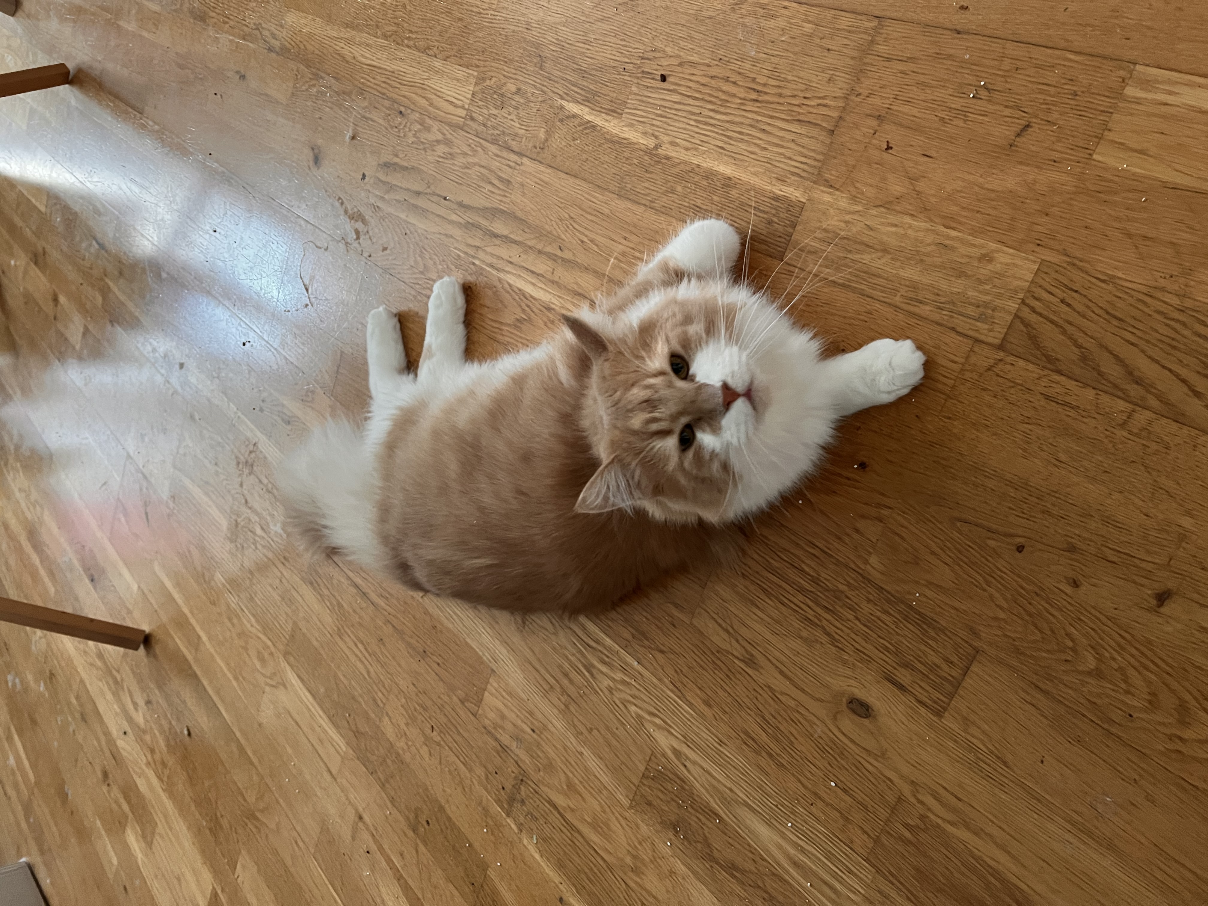 image-6