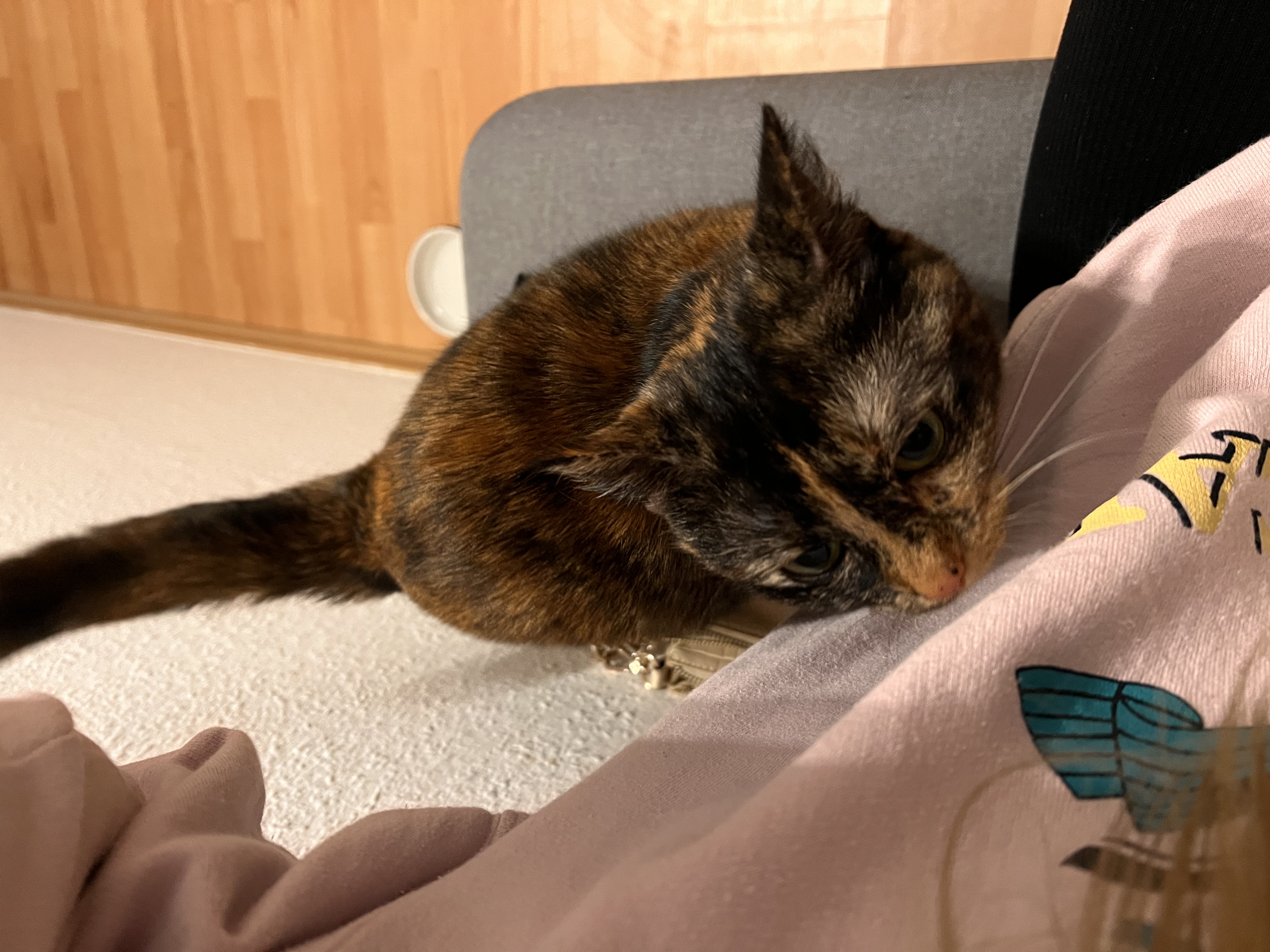 image-8