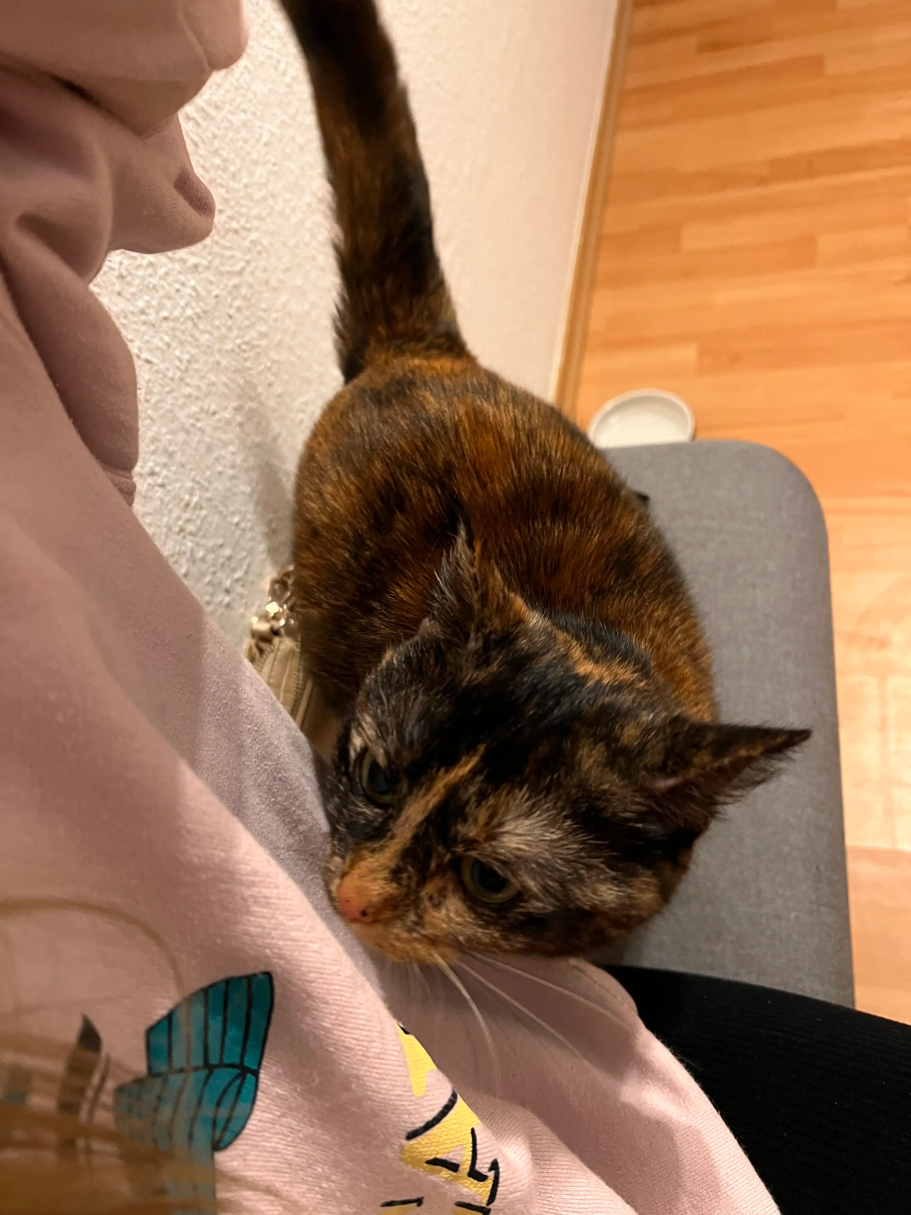 image-8