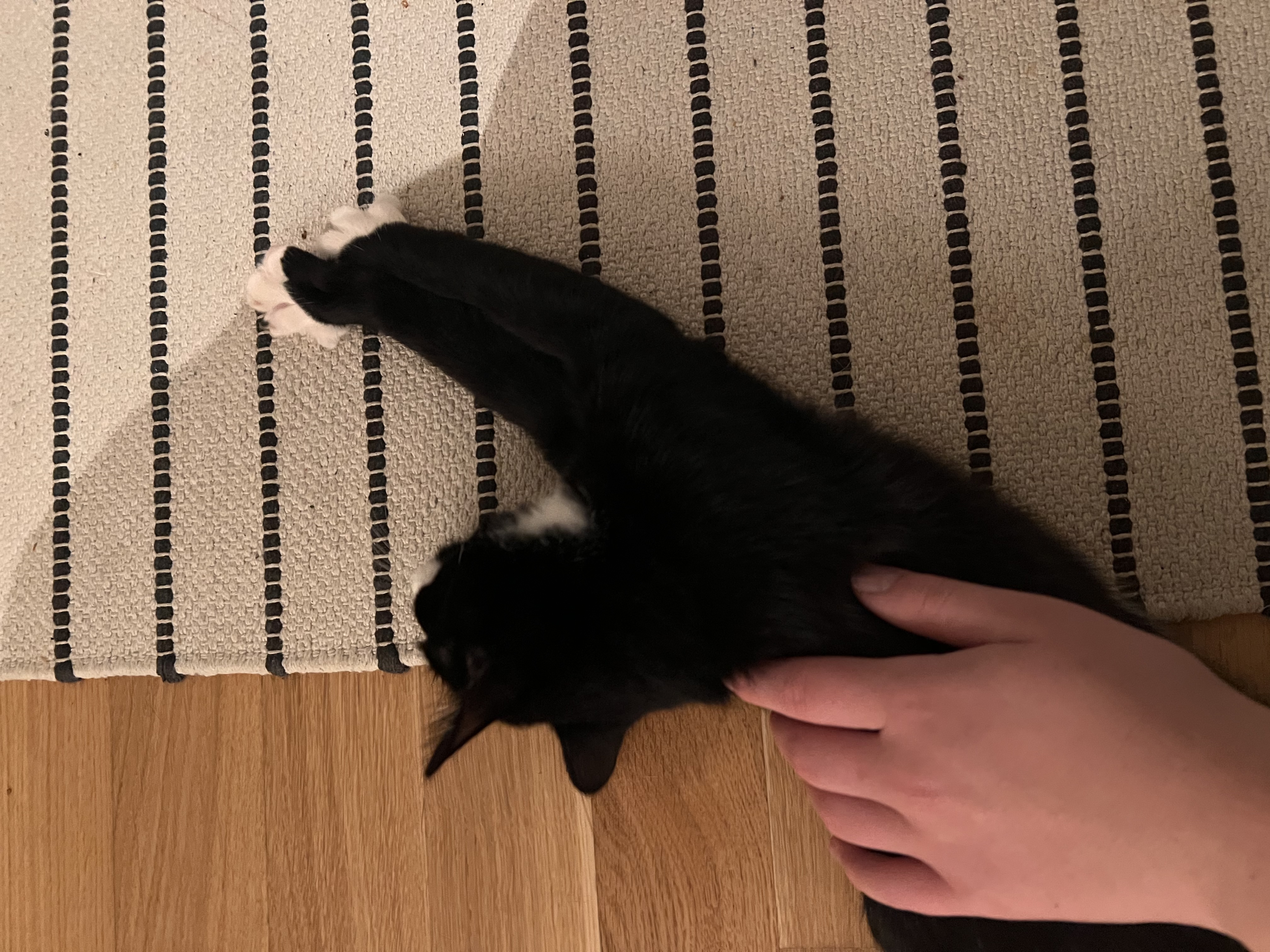 image-7