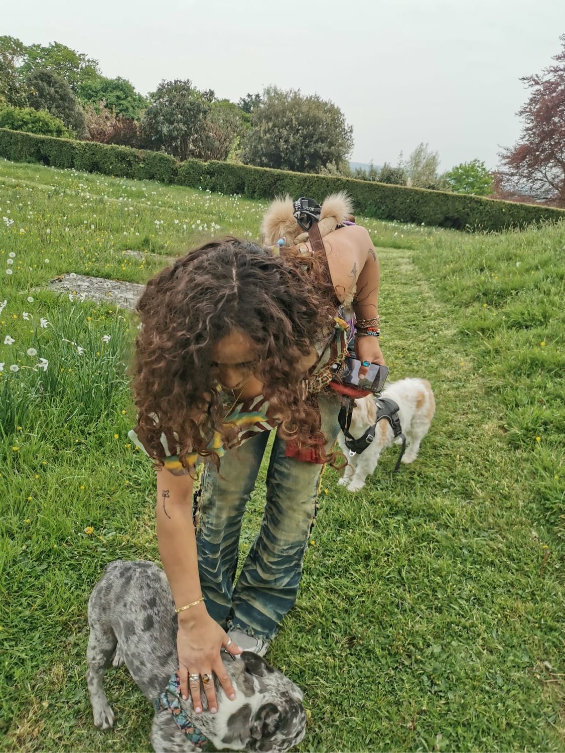 image-3