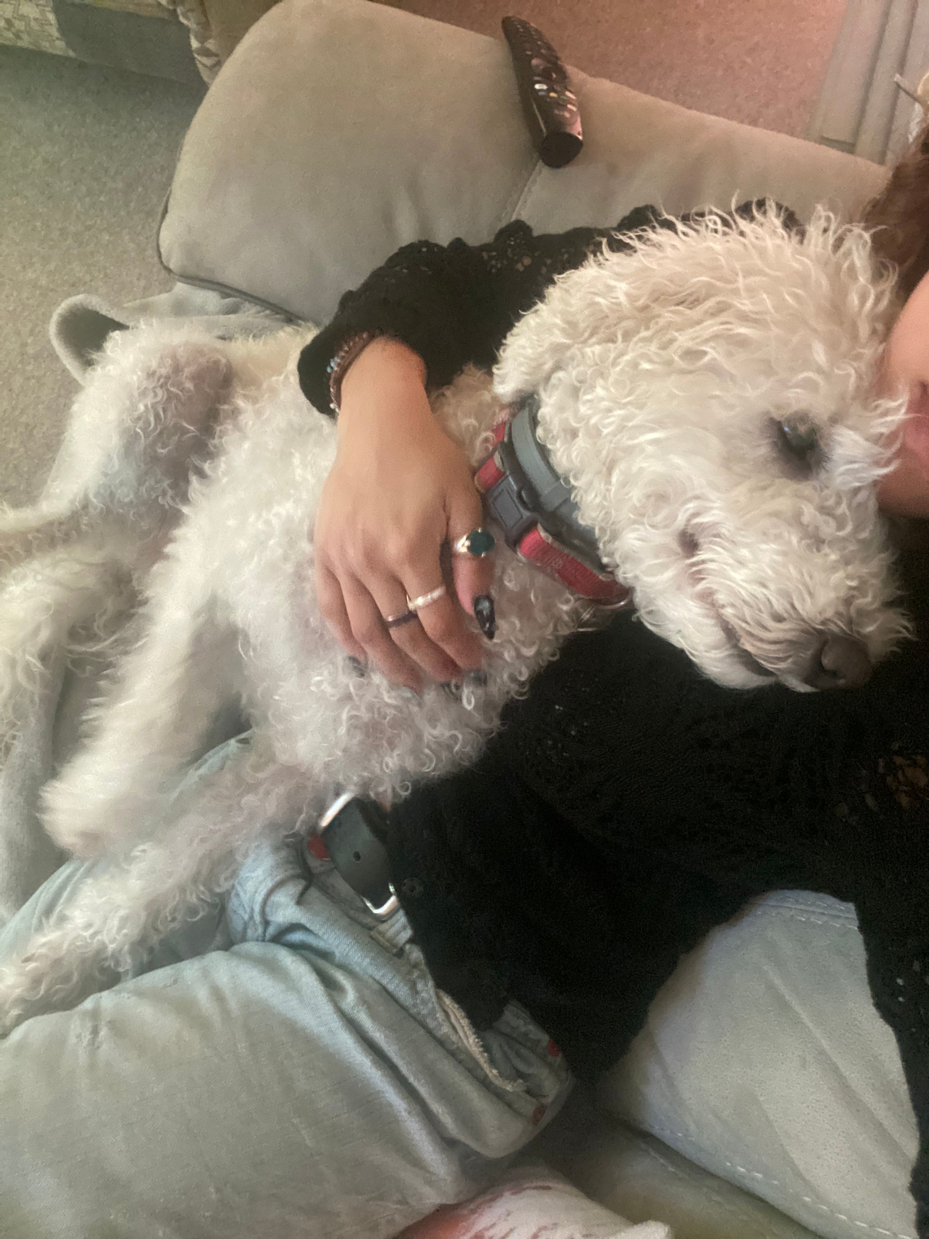 image-7