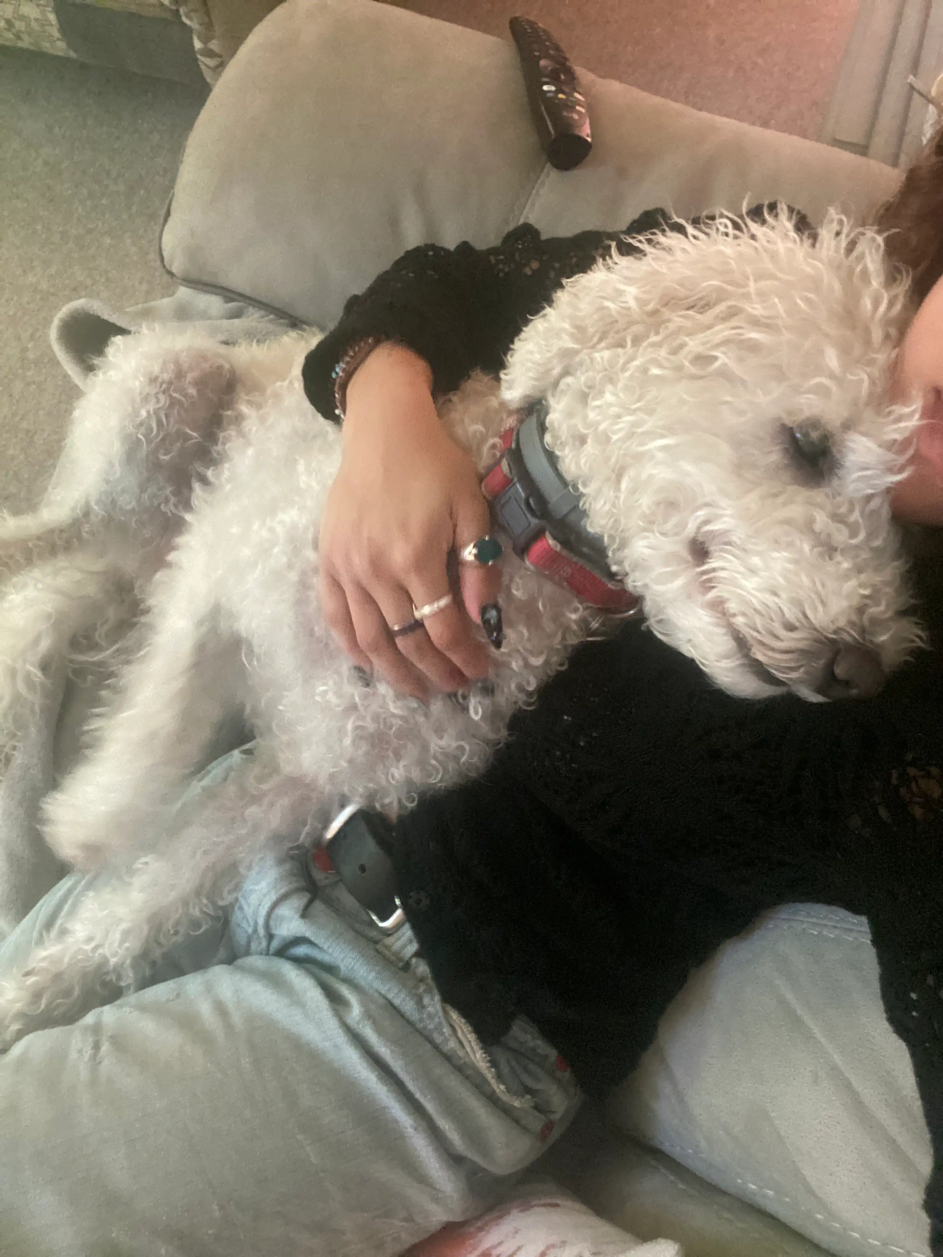 image-7