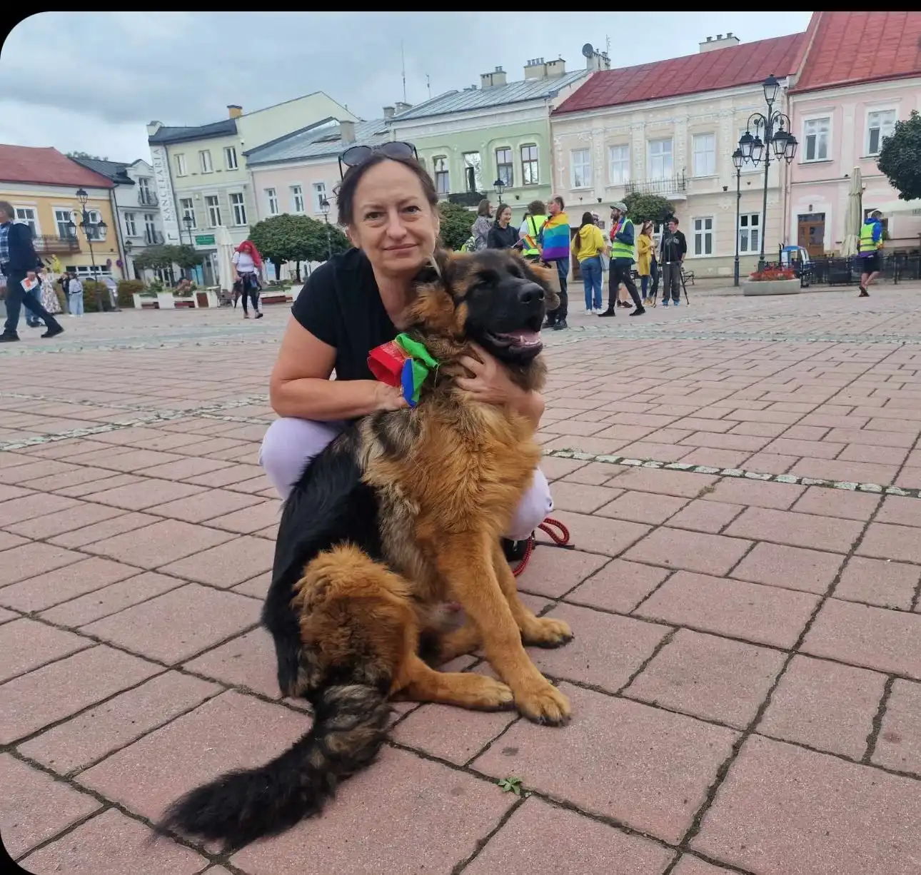 image-12