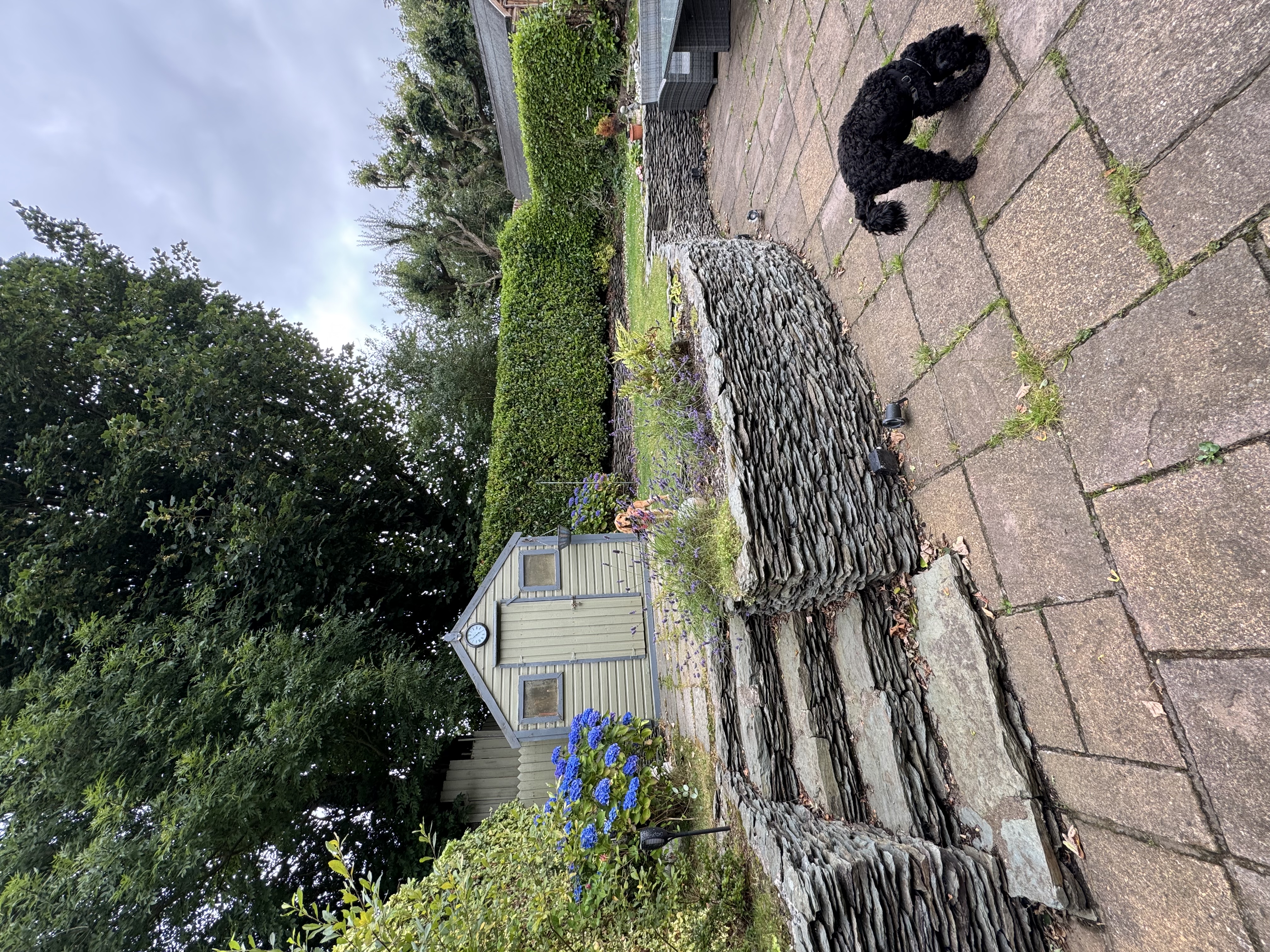 image-28