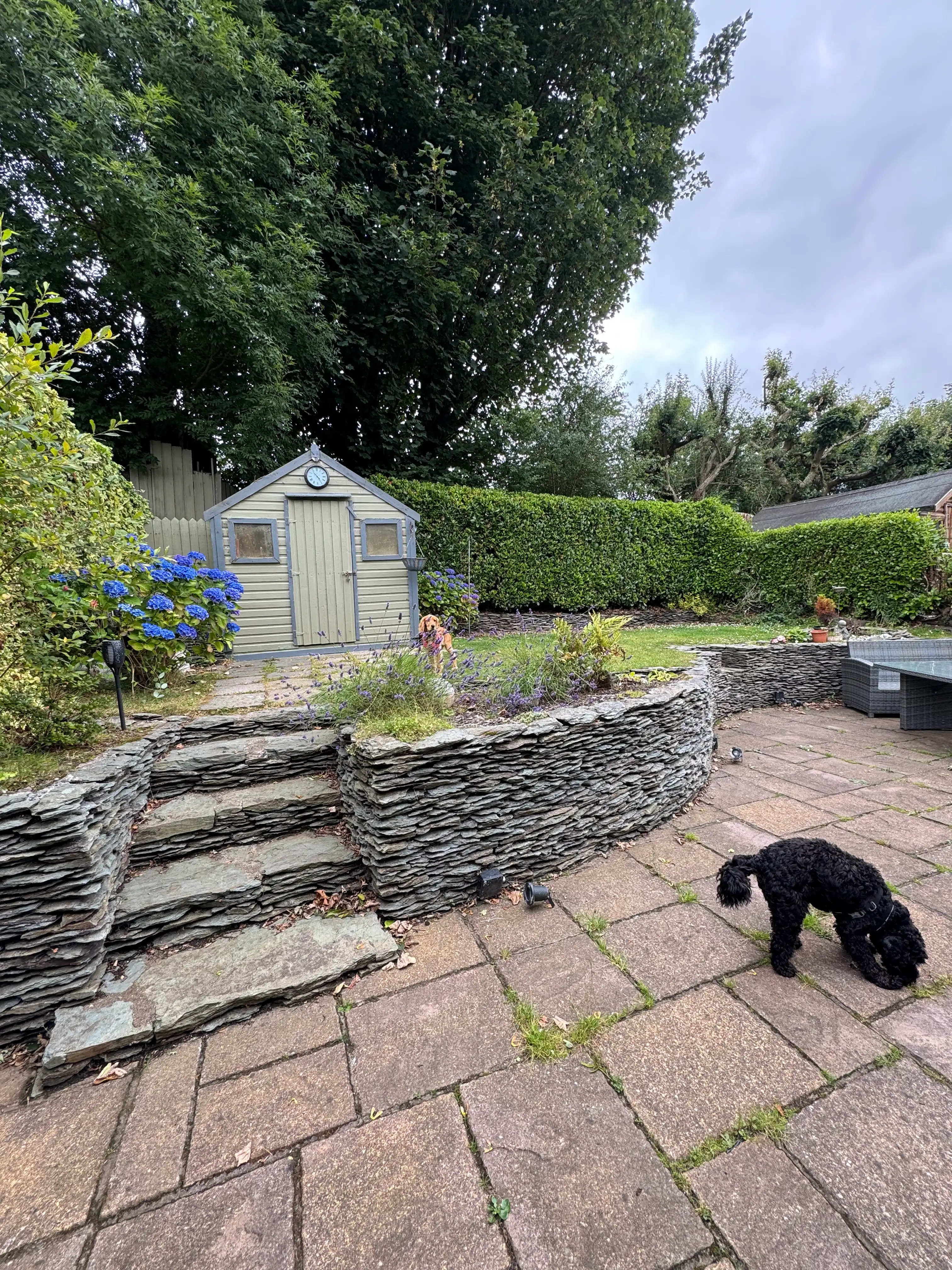 image-28
