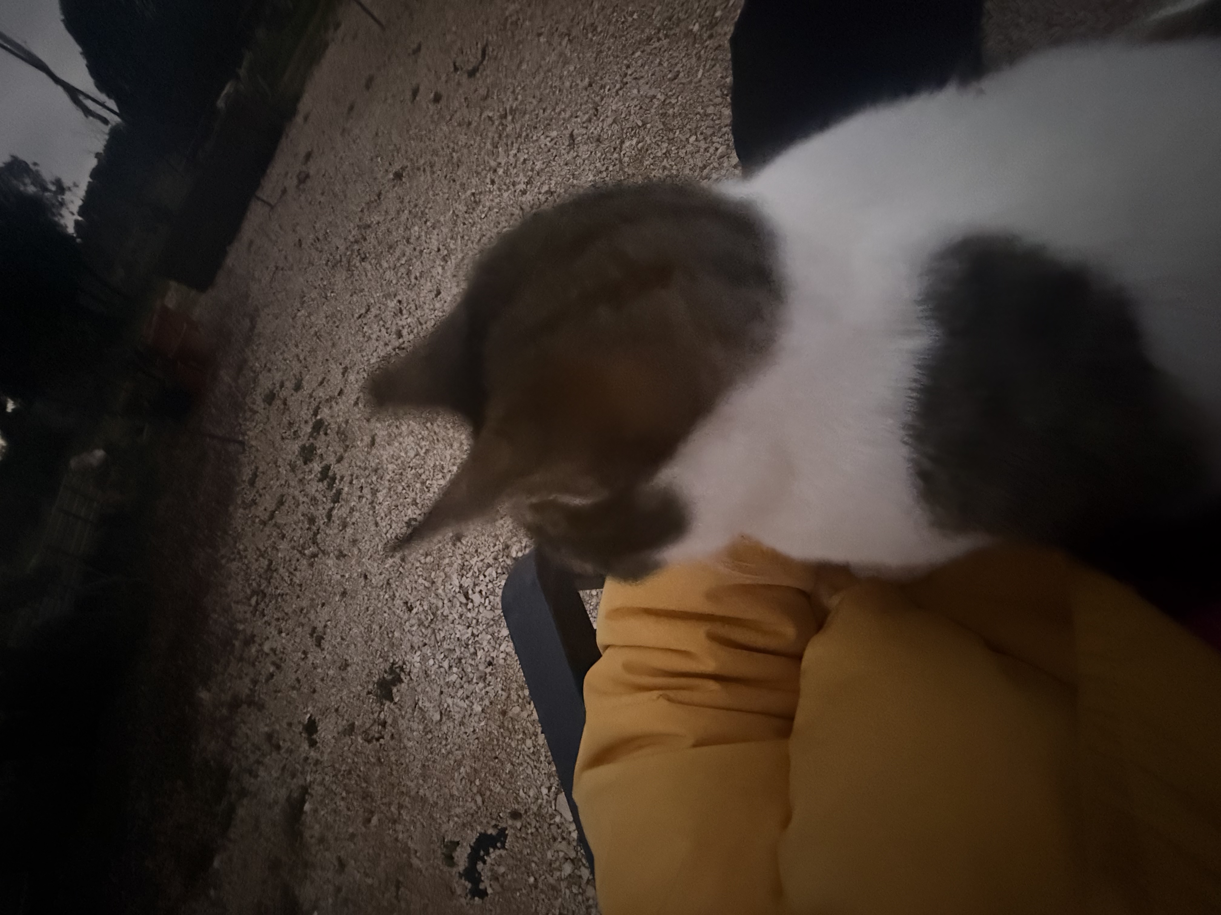 image-13