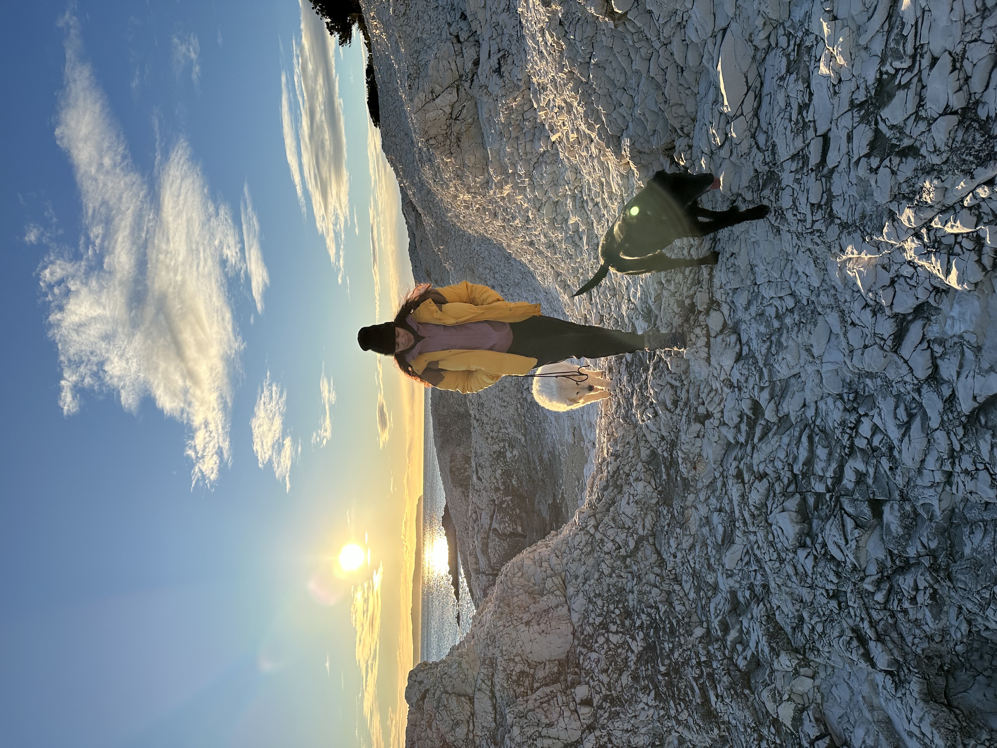 image-2