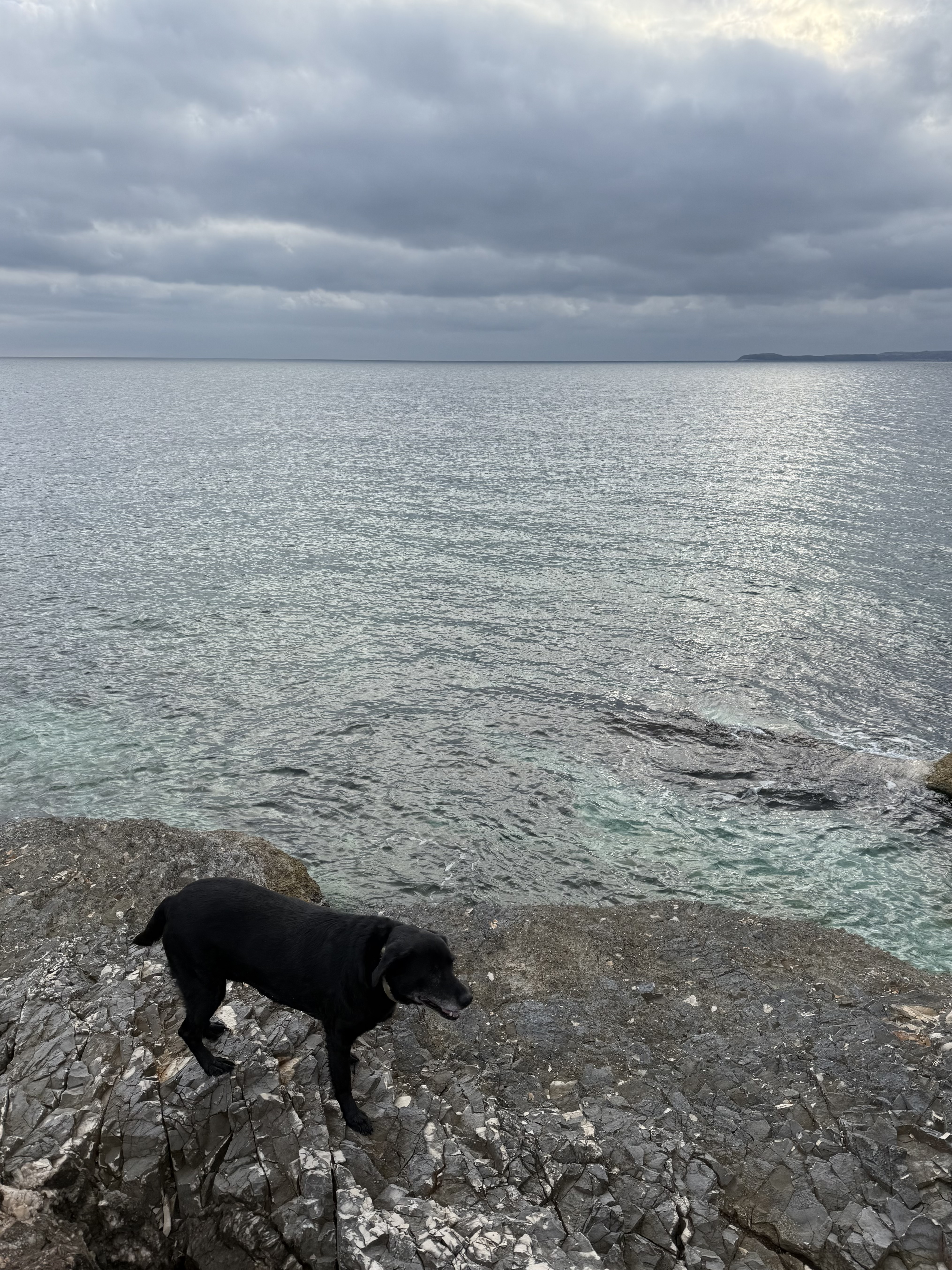 image-9