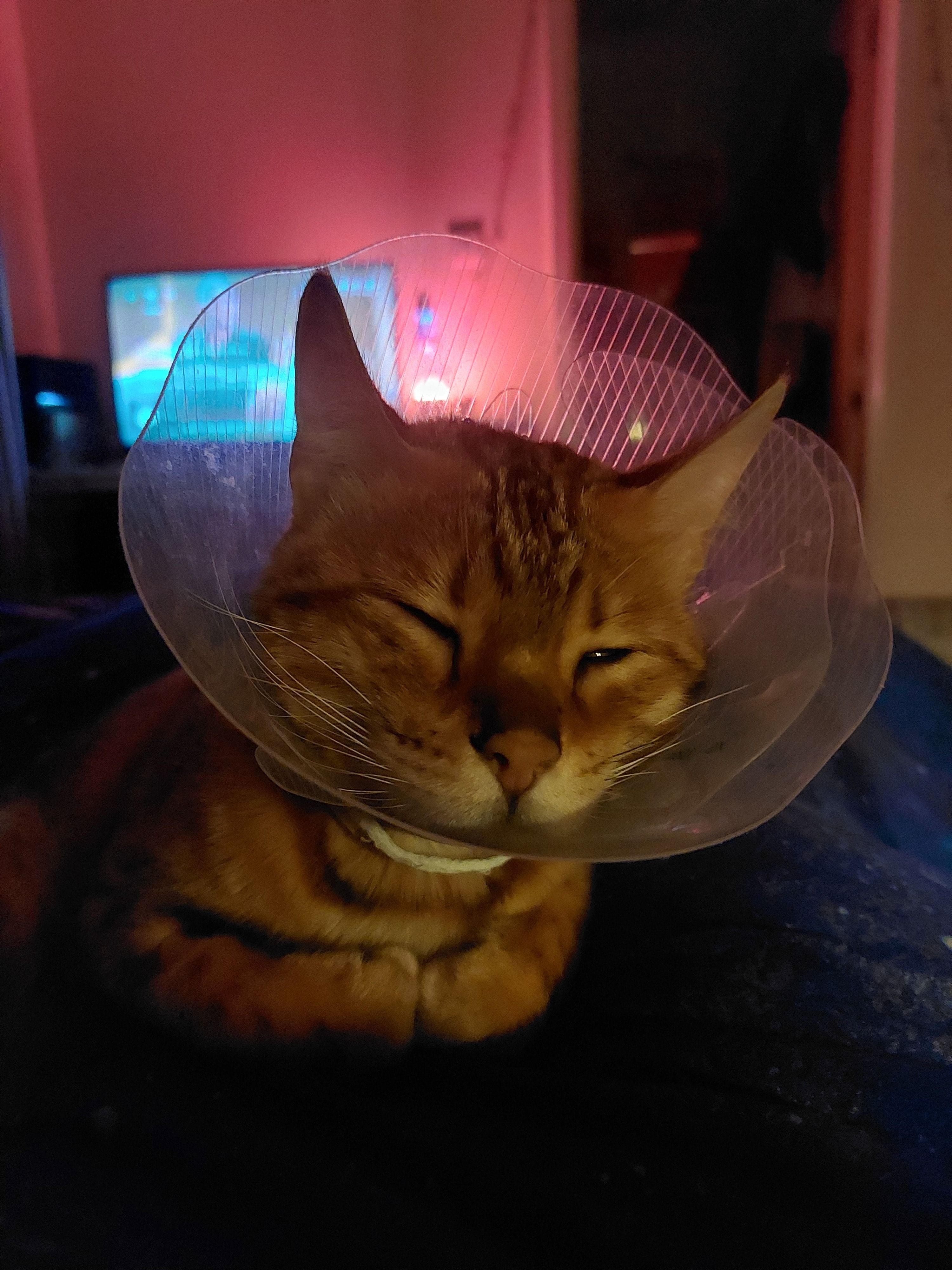image-9