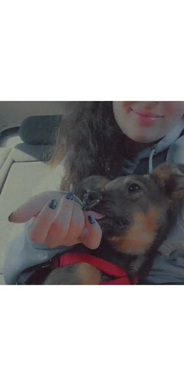 image-7