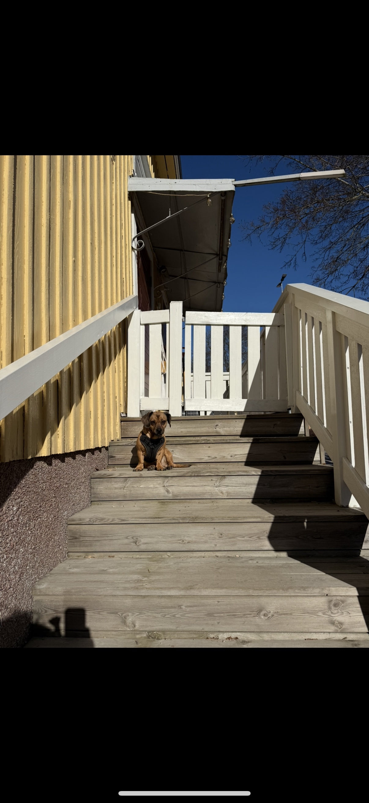 image-16