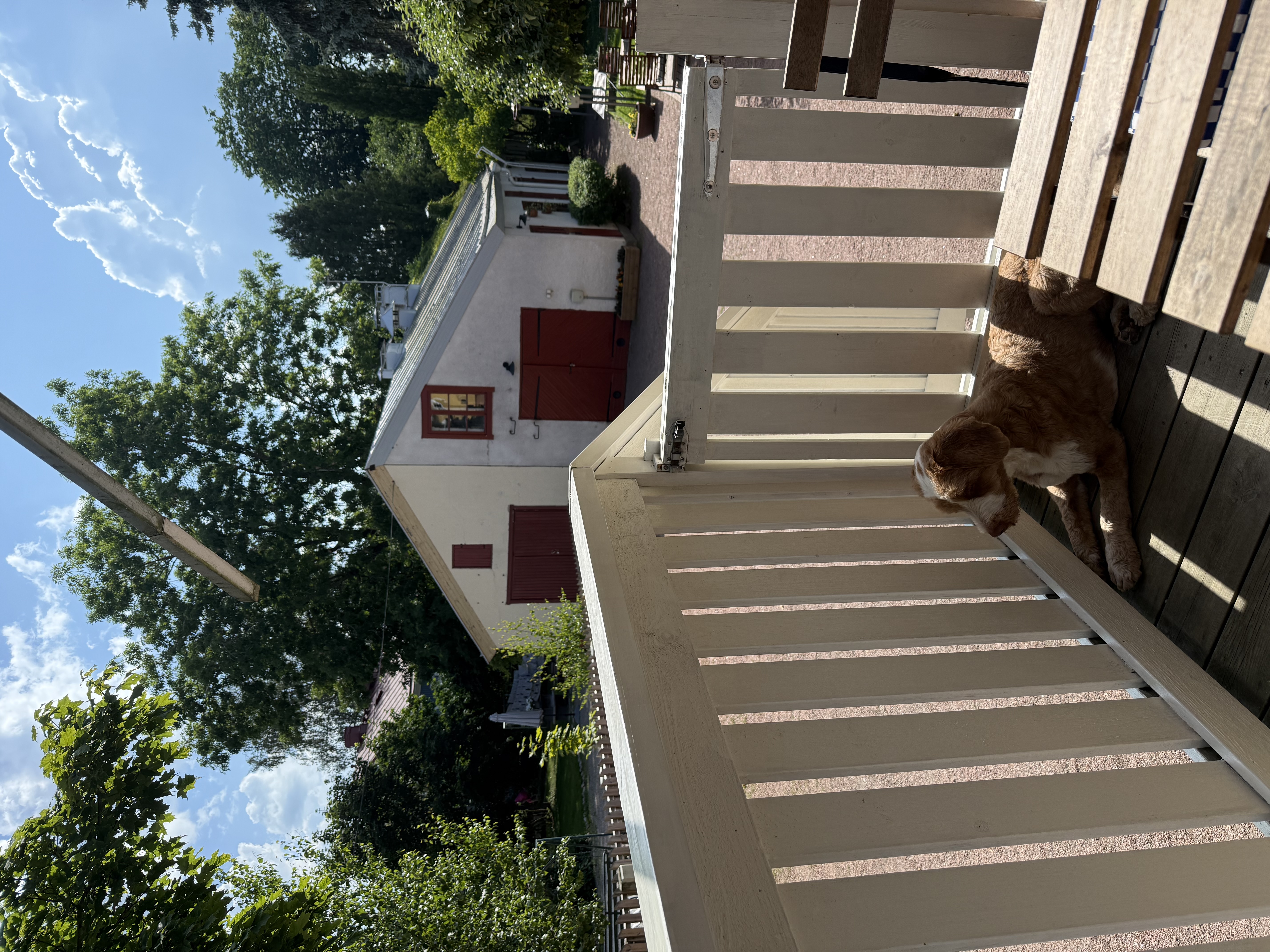 image-23