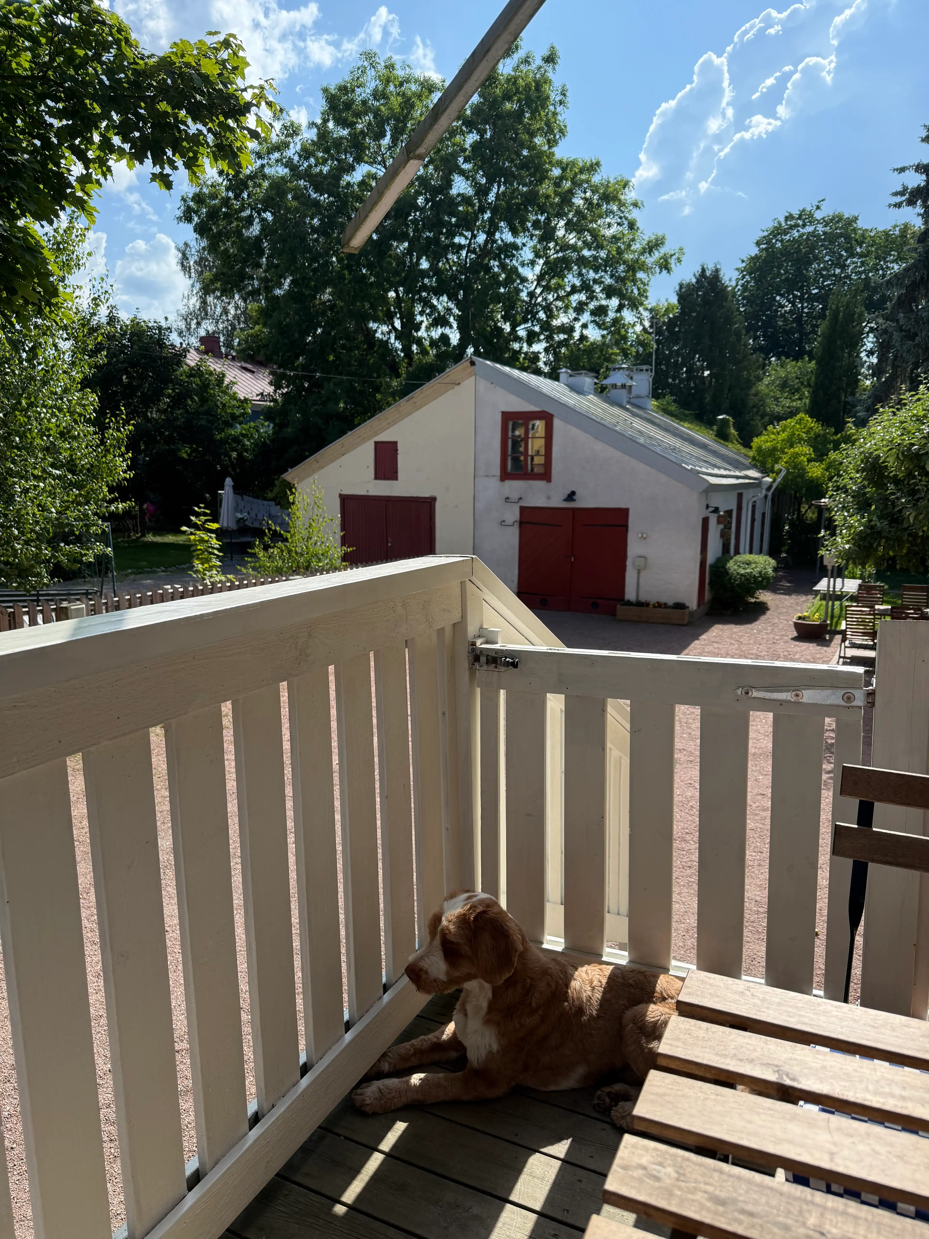 image-23