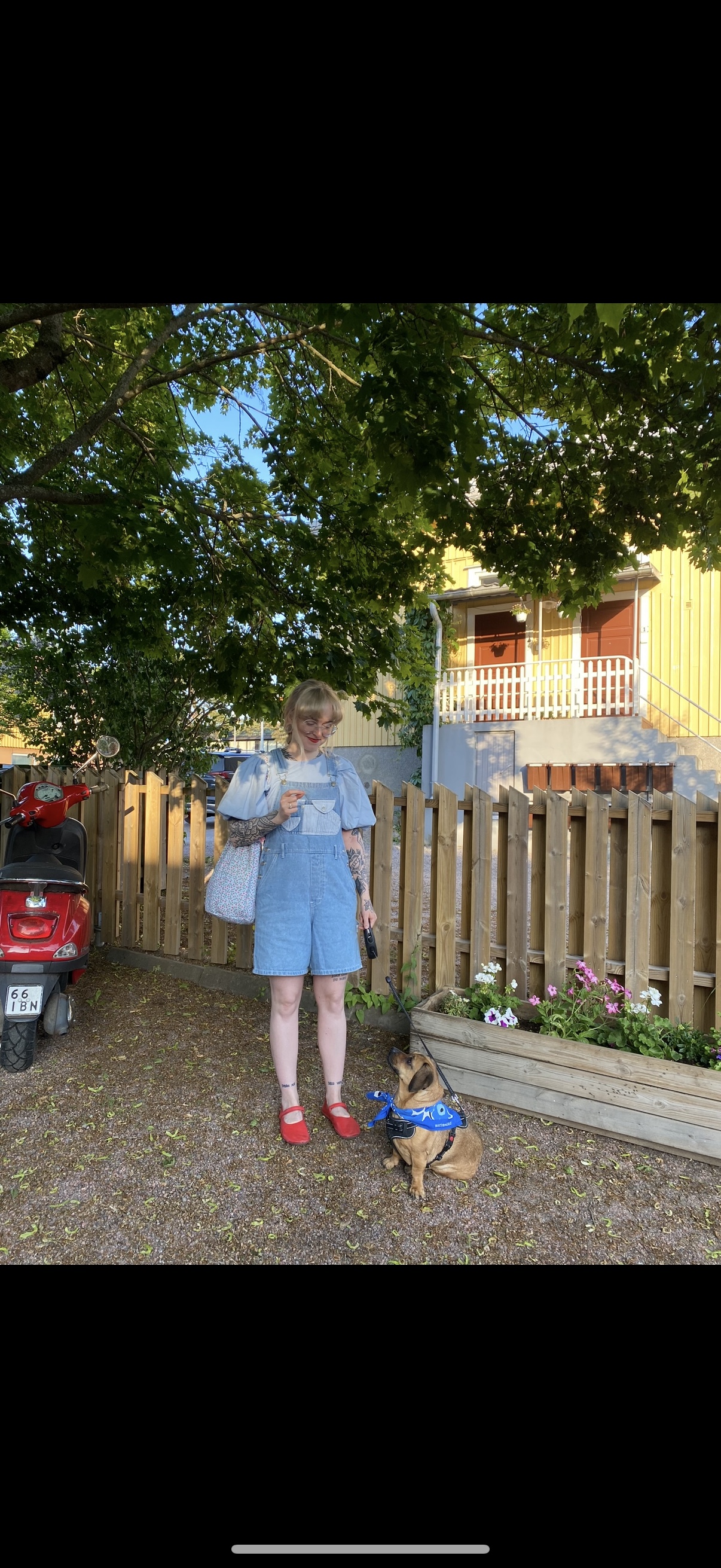 image-8