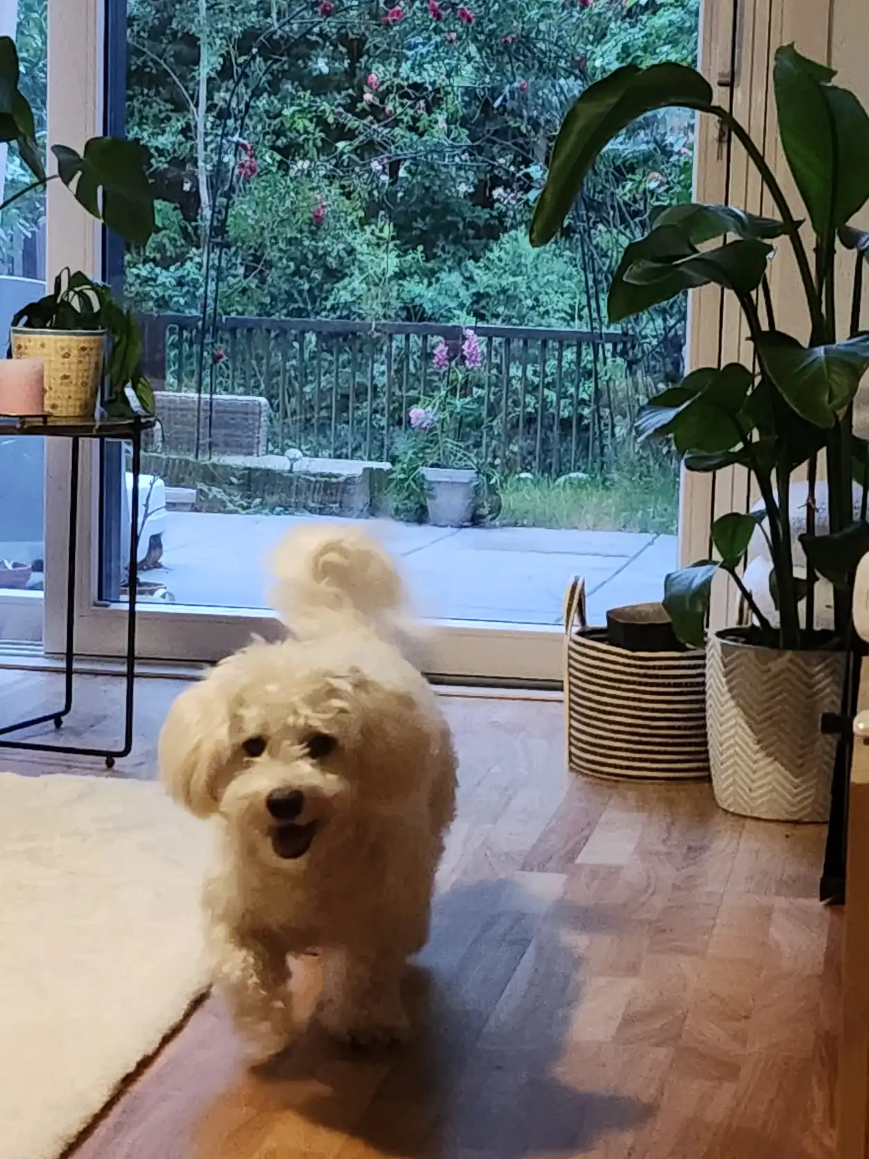 image-13