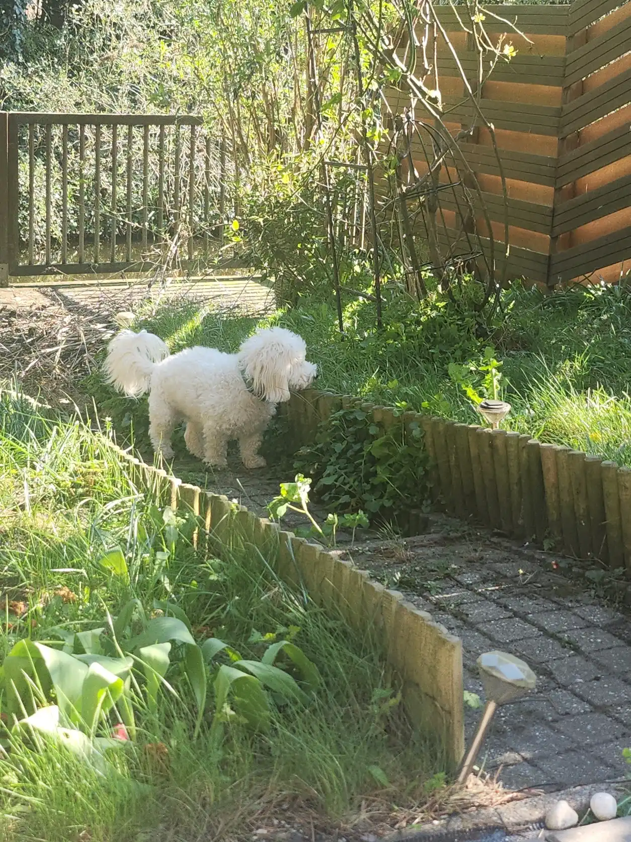 image-9