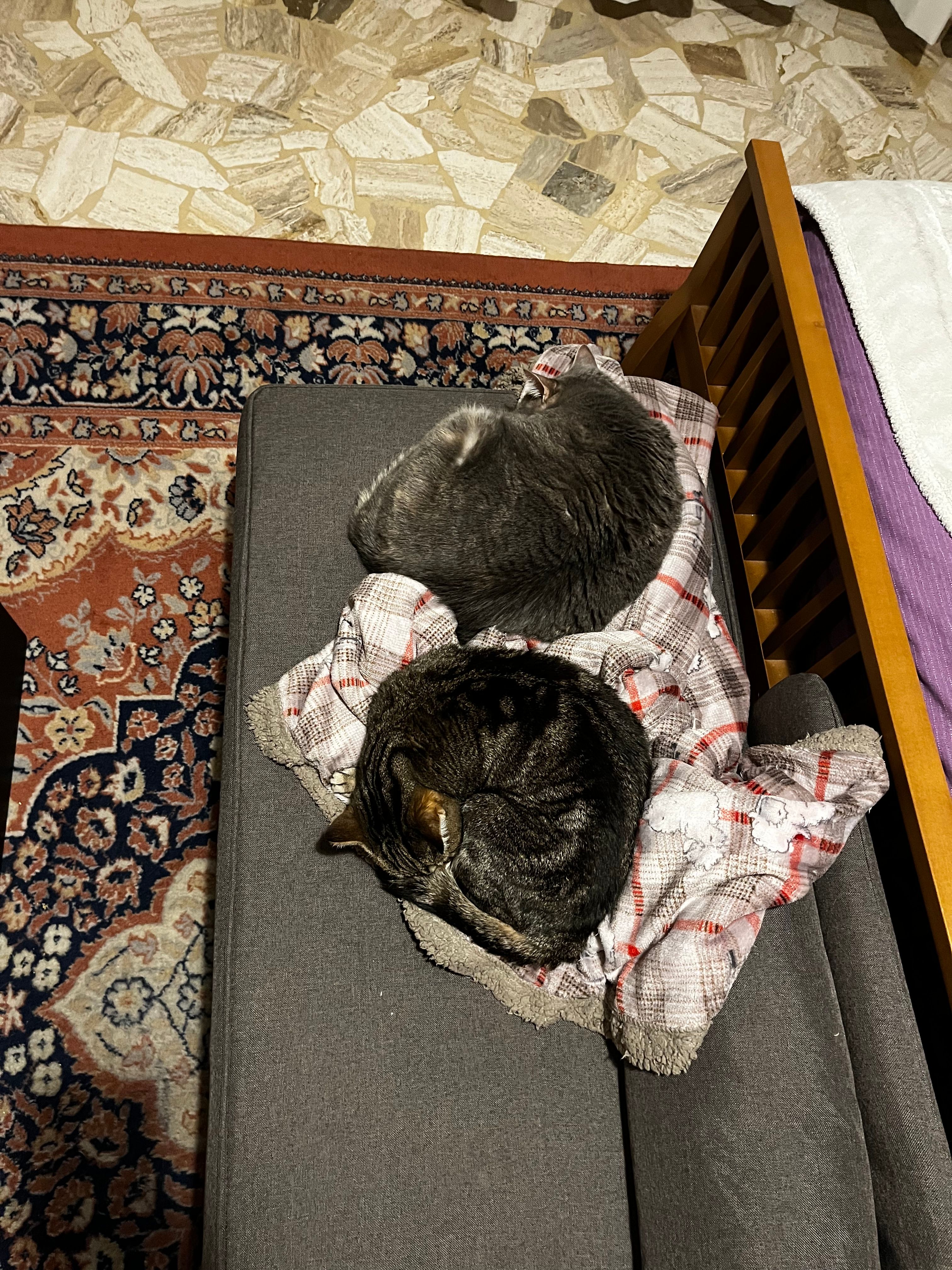 image-8
