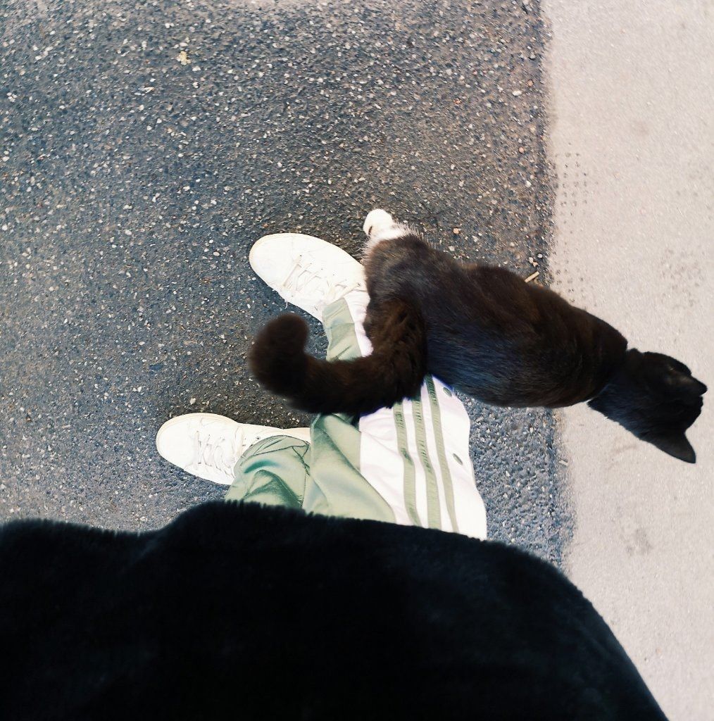 image-5