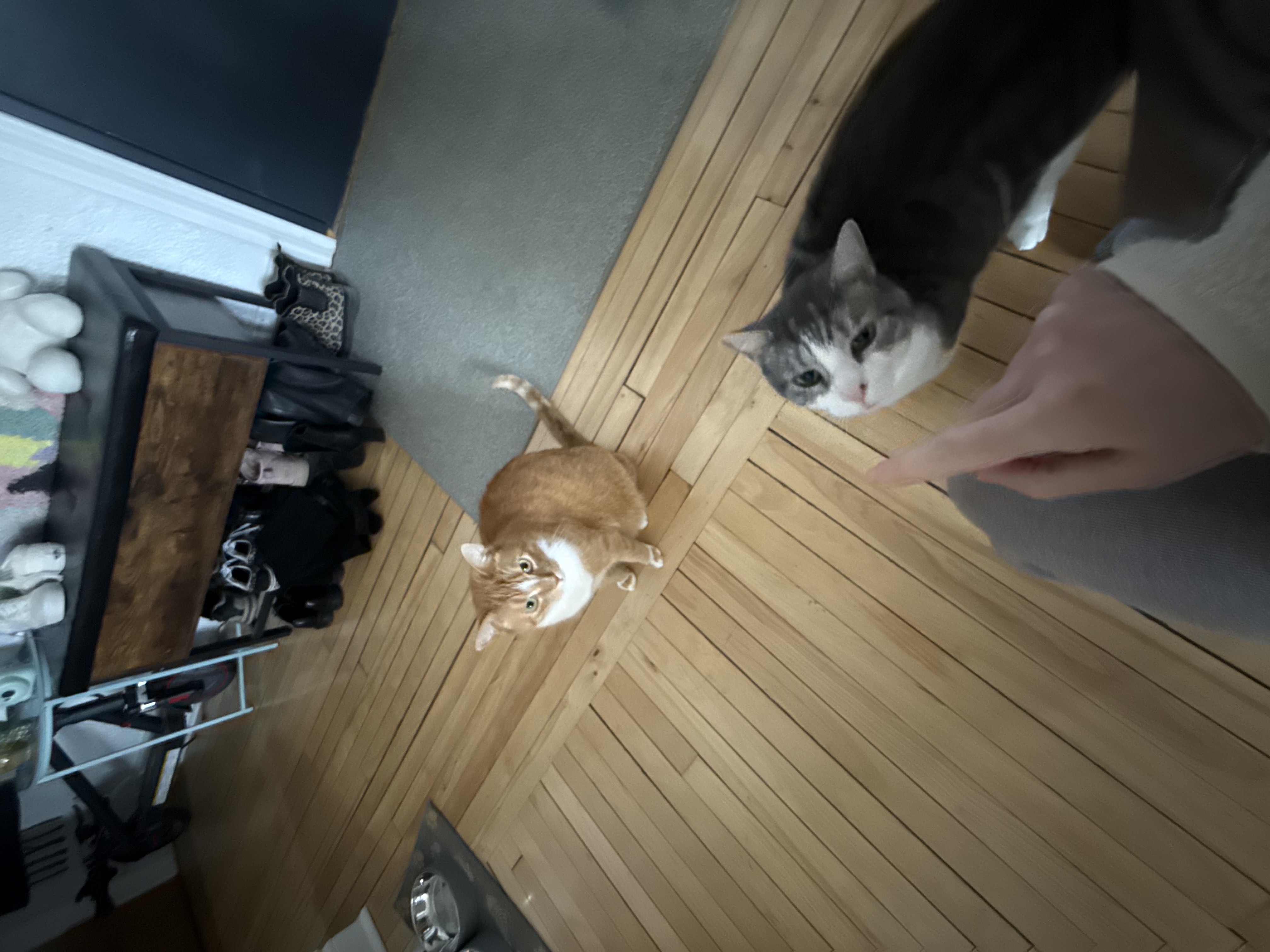 image-7