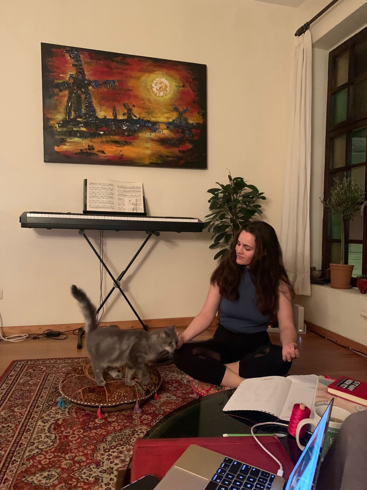 image-12