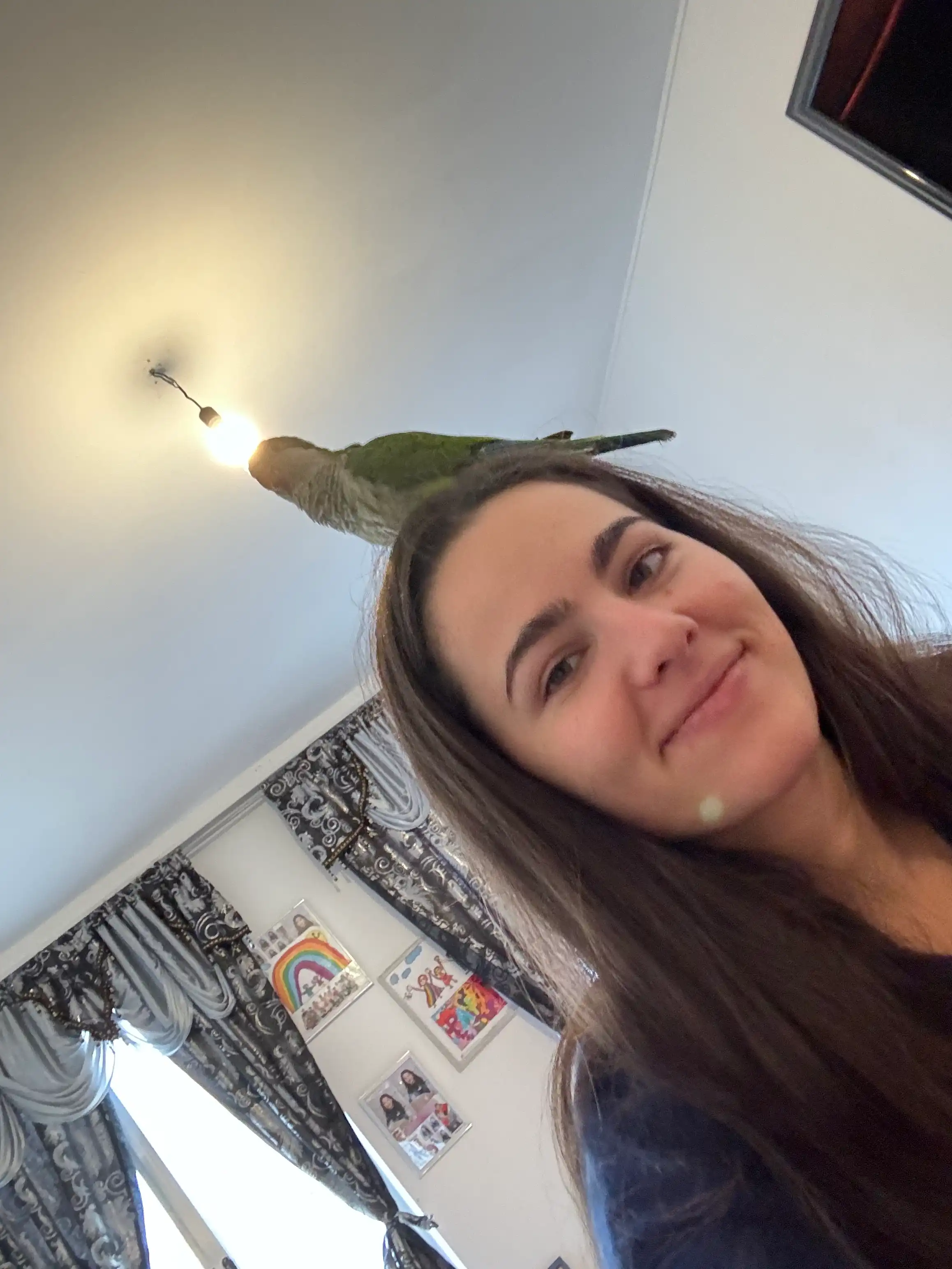 image-8