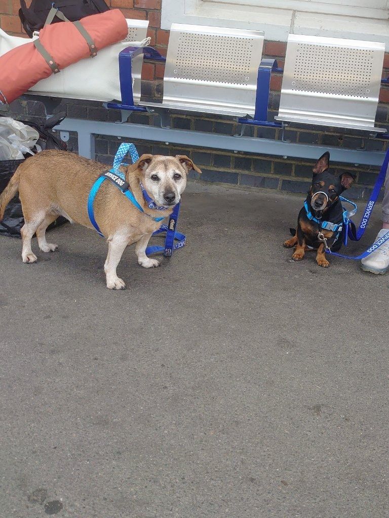image-17