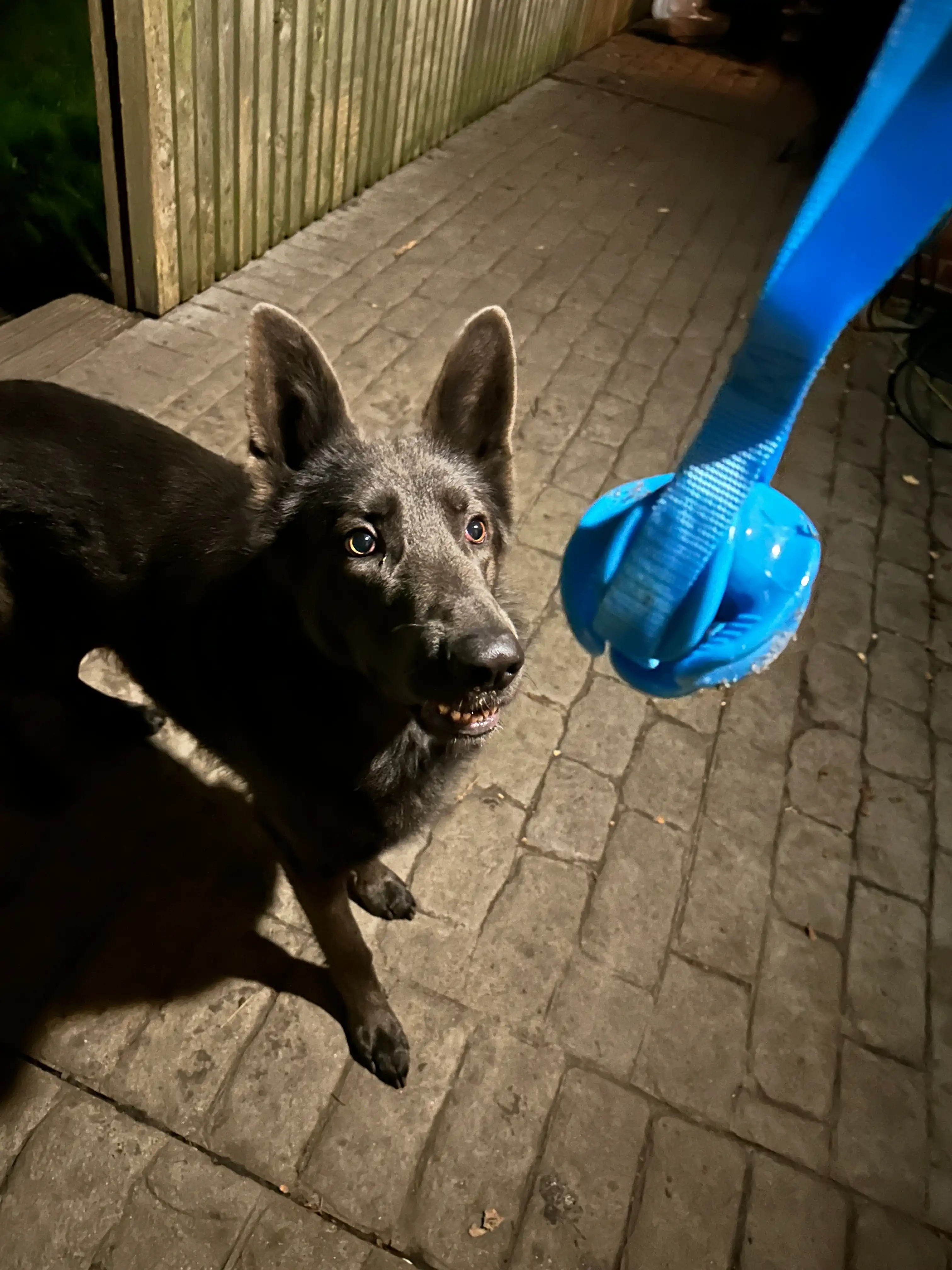 image-16