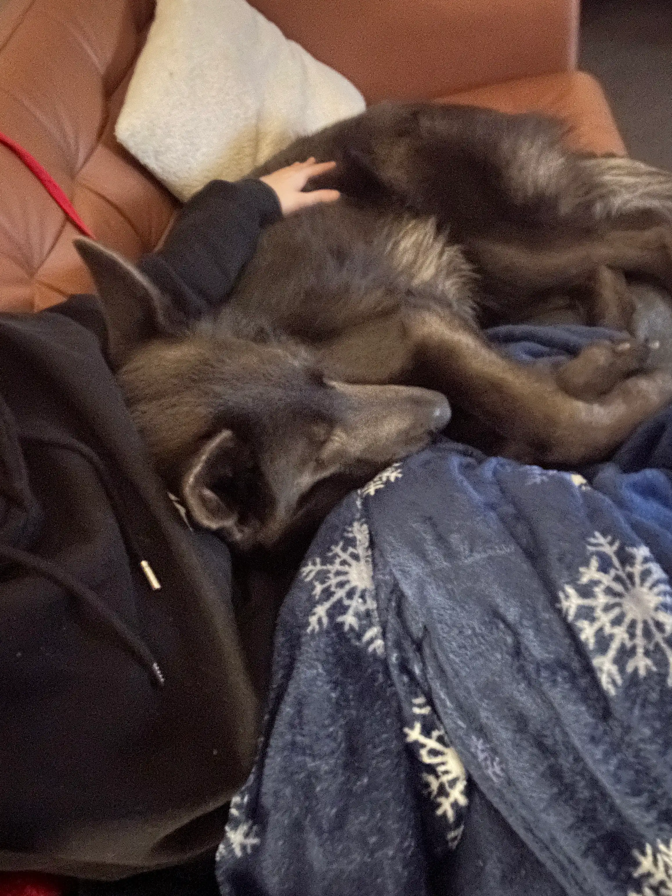 image-8