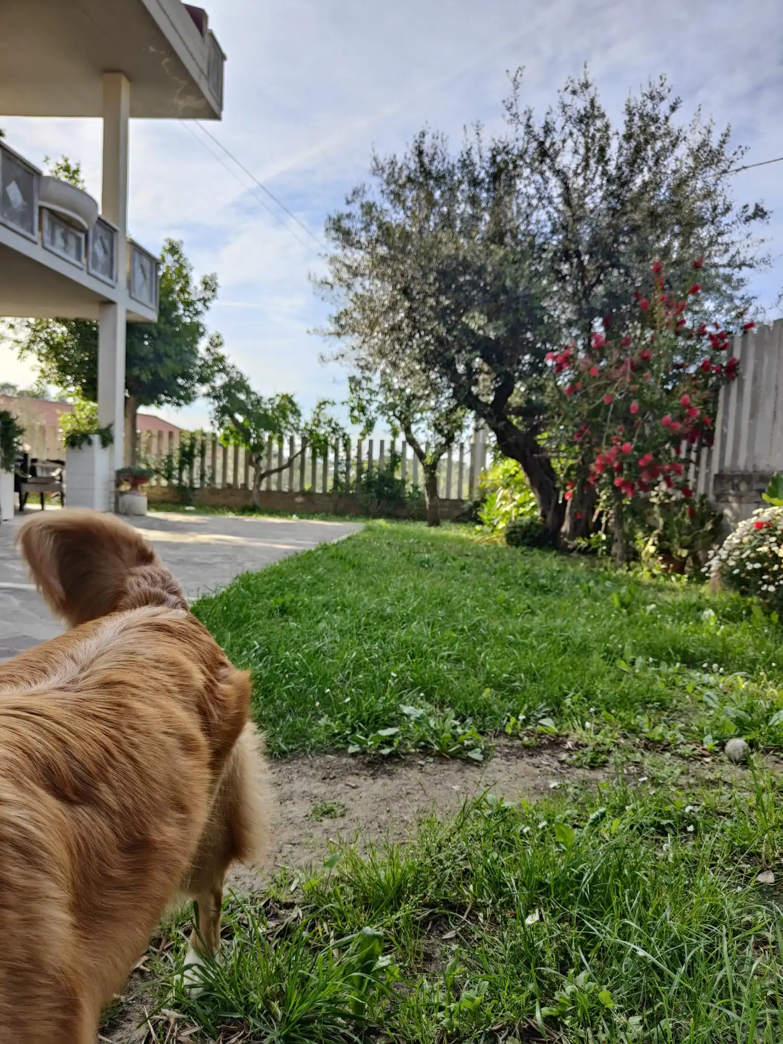 image-16