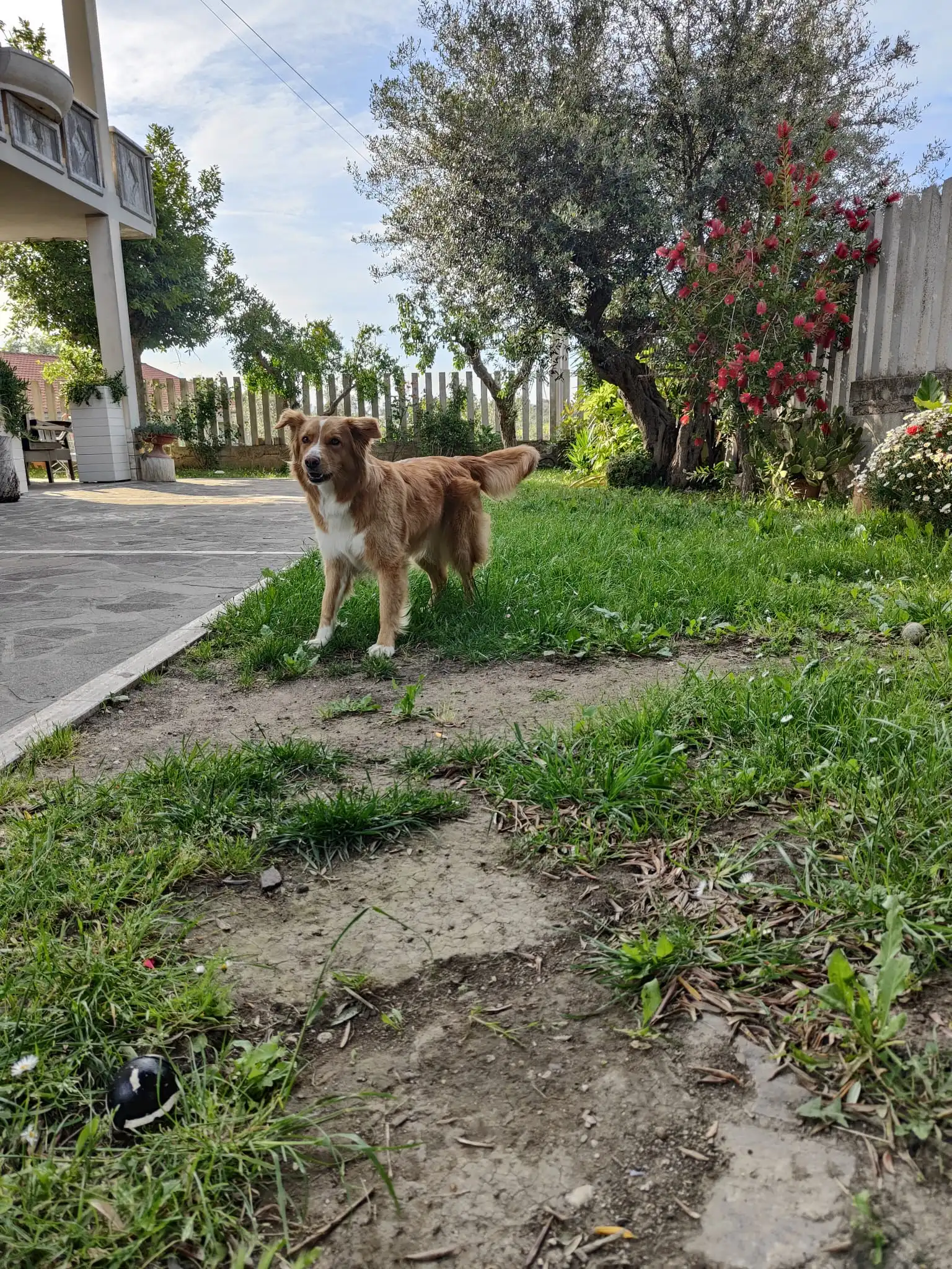 image-12
