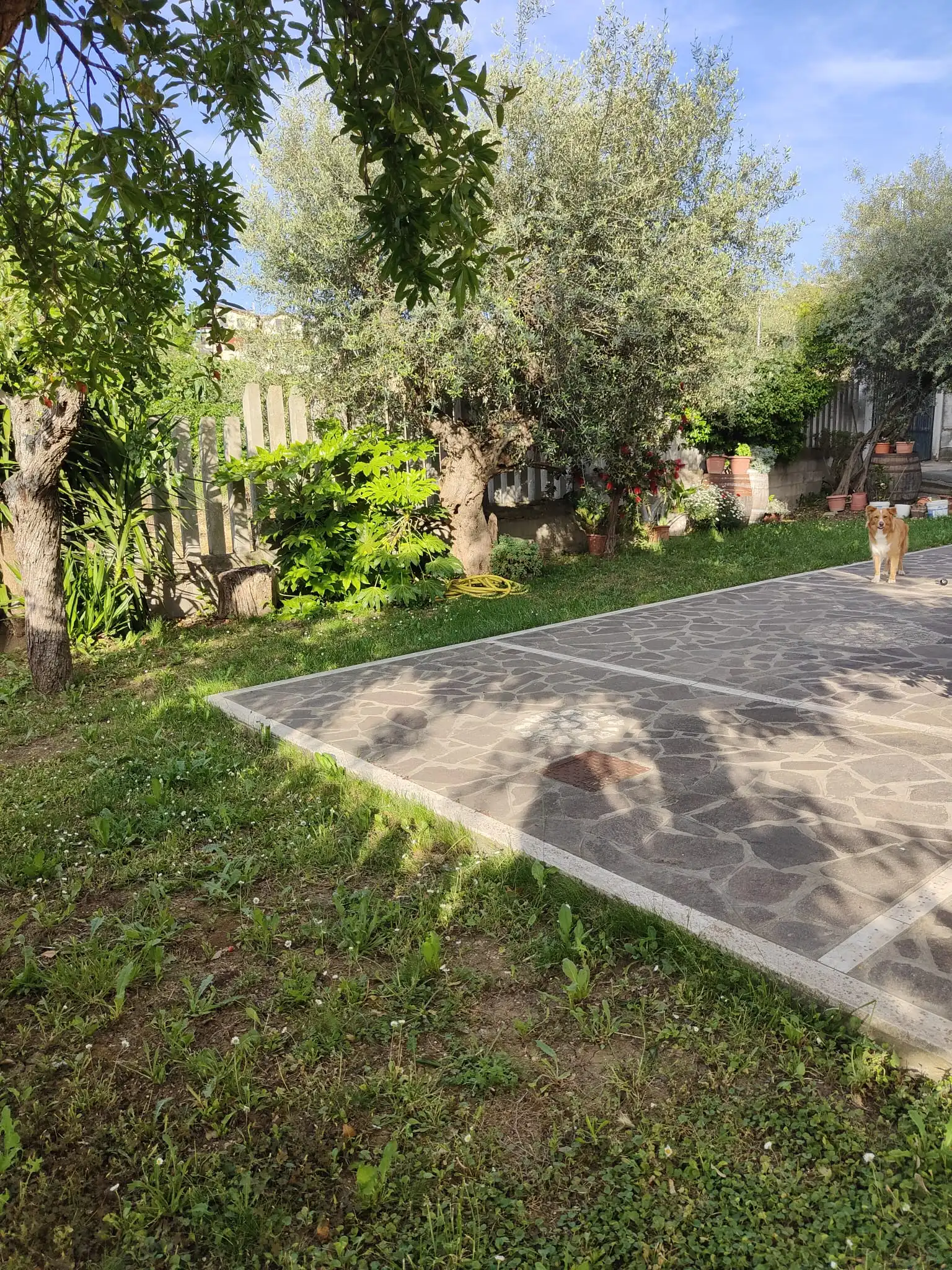 image-14