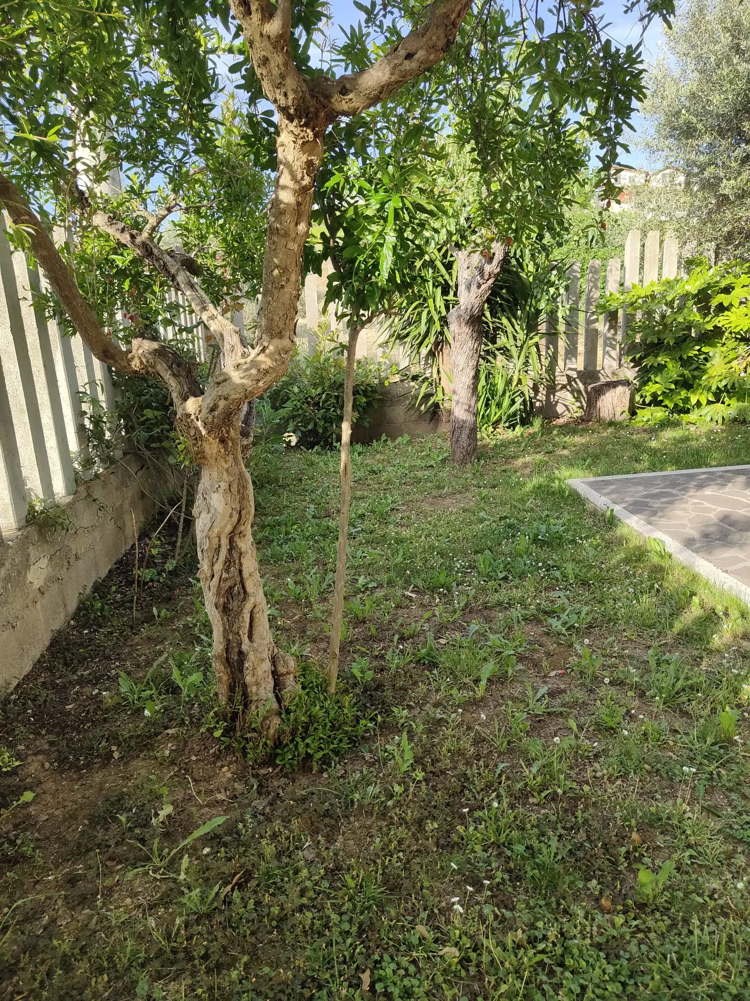 image-15