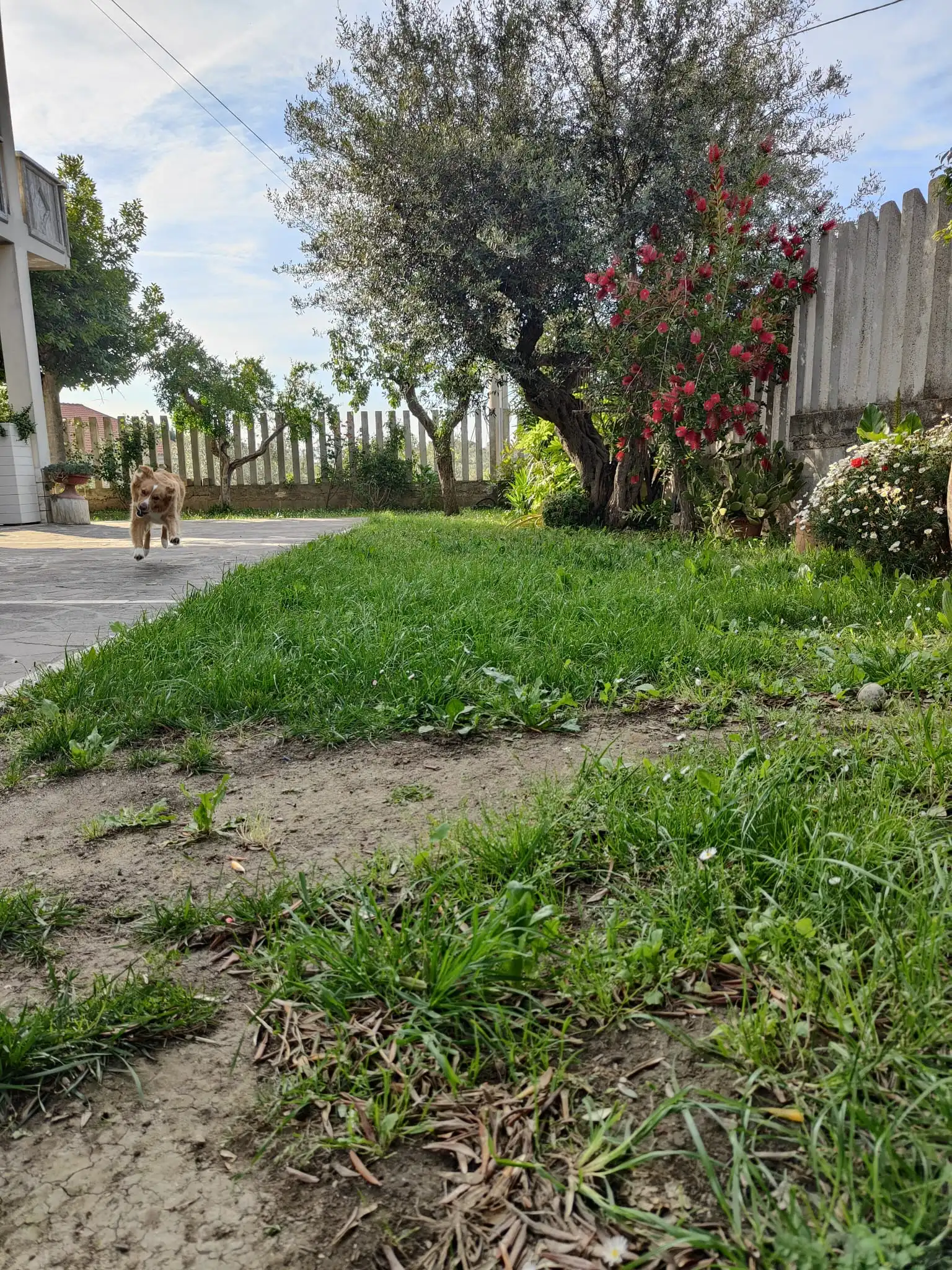 image-11