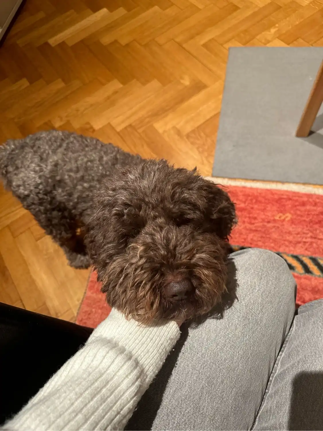 image-5