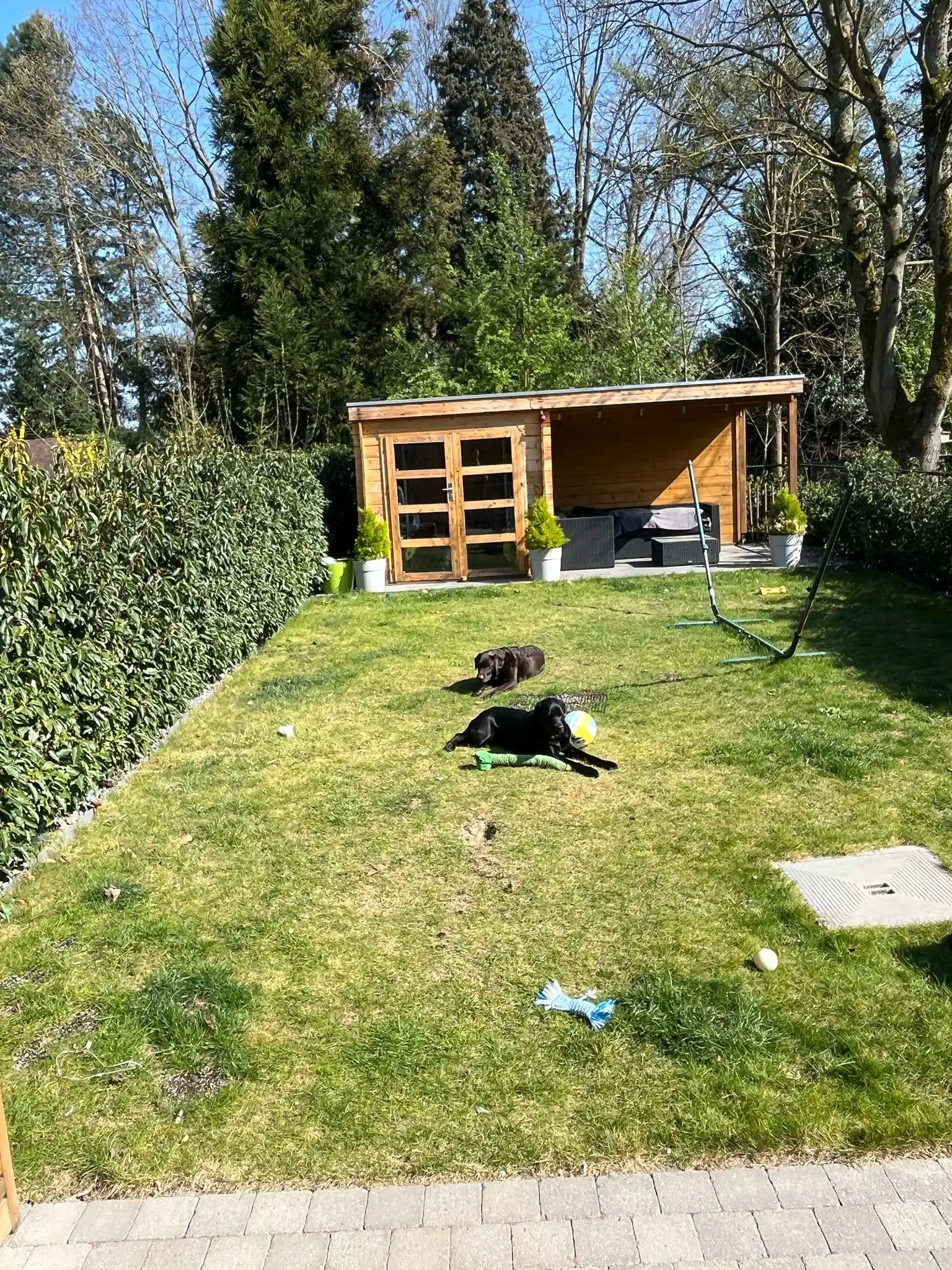 image-10