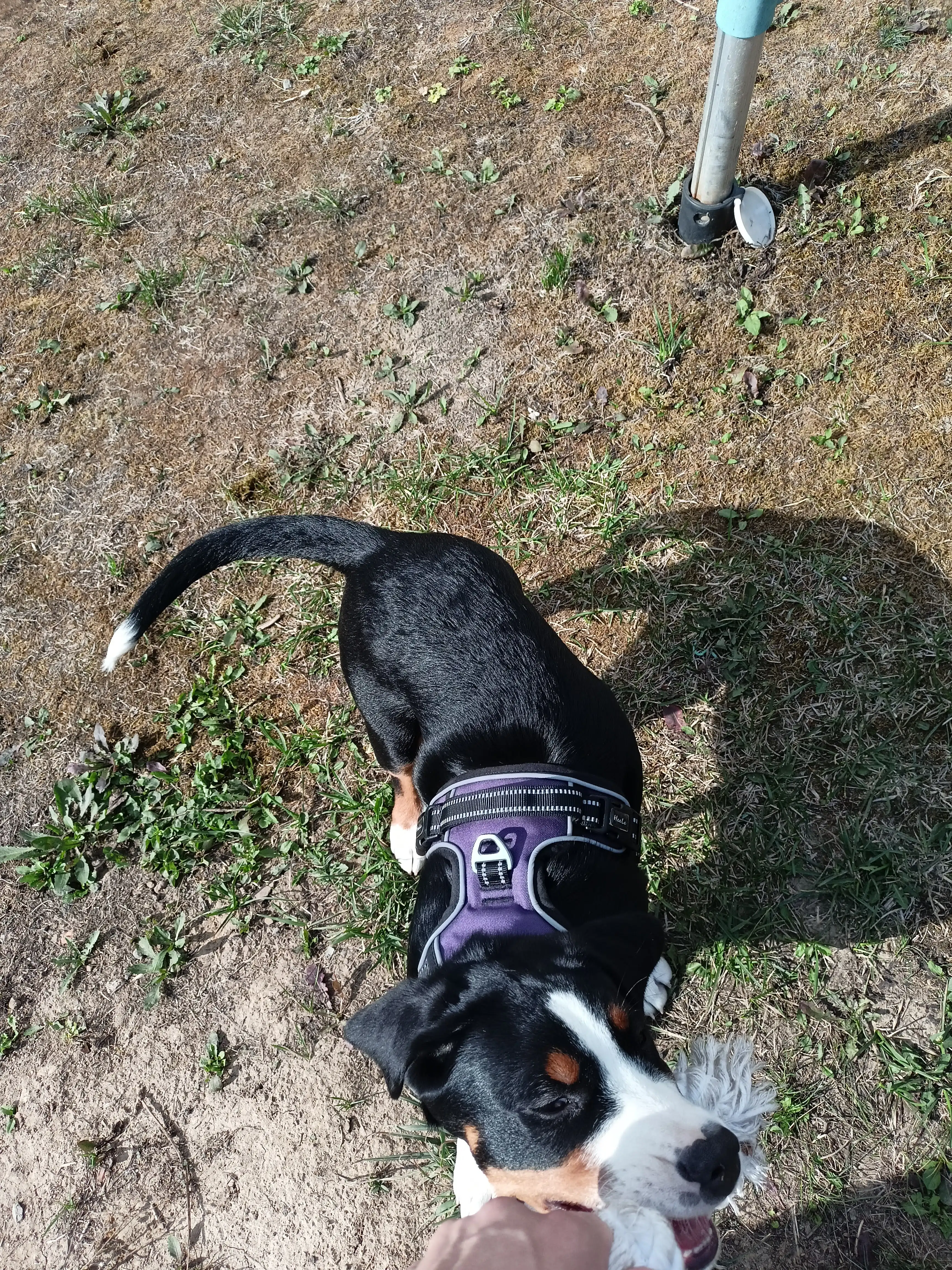 image-9
