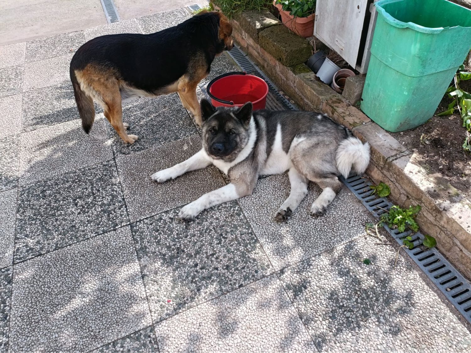 image-4