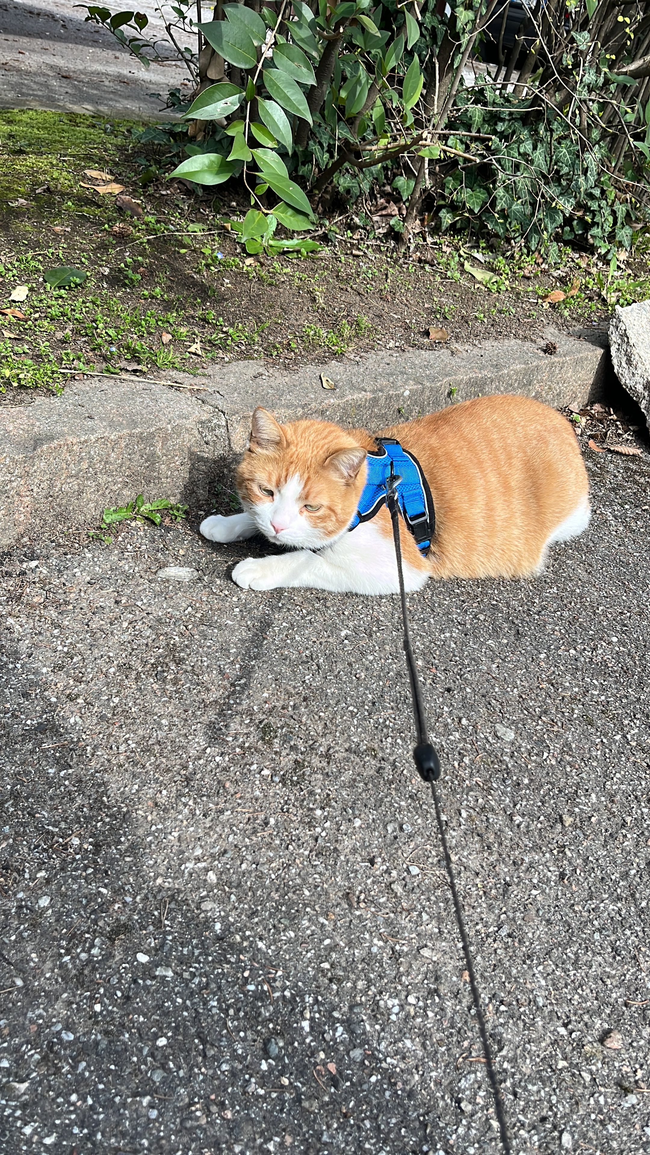 image-14