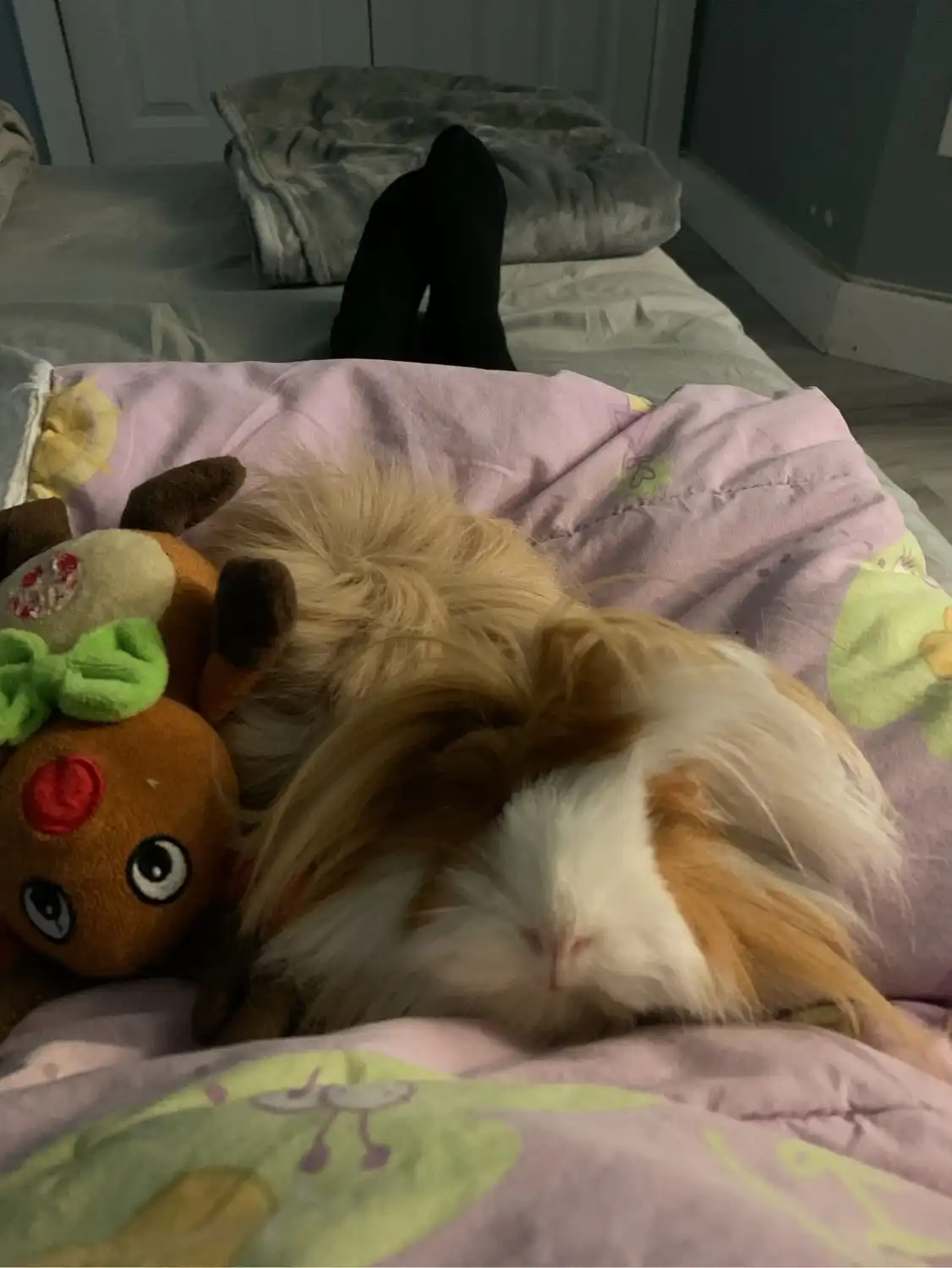 image-9