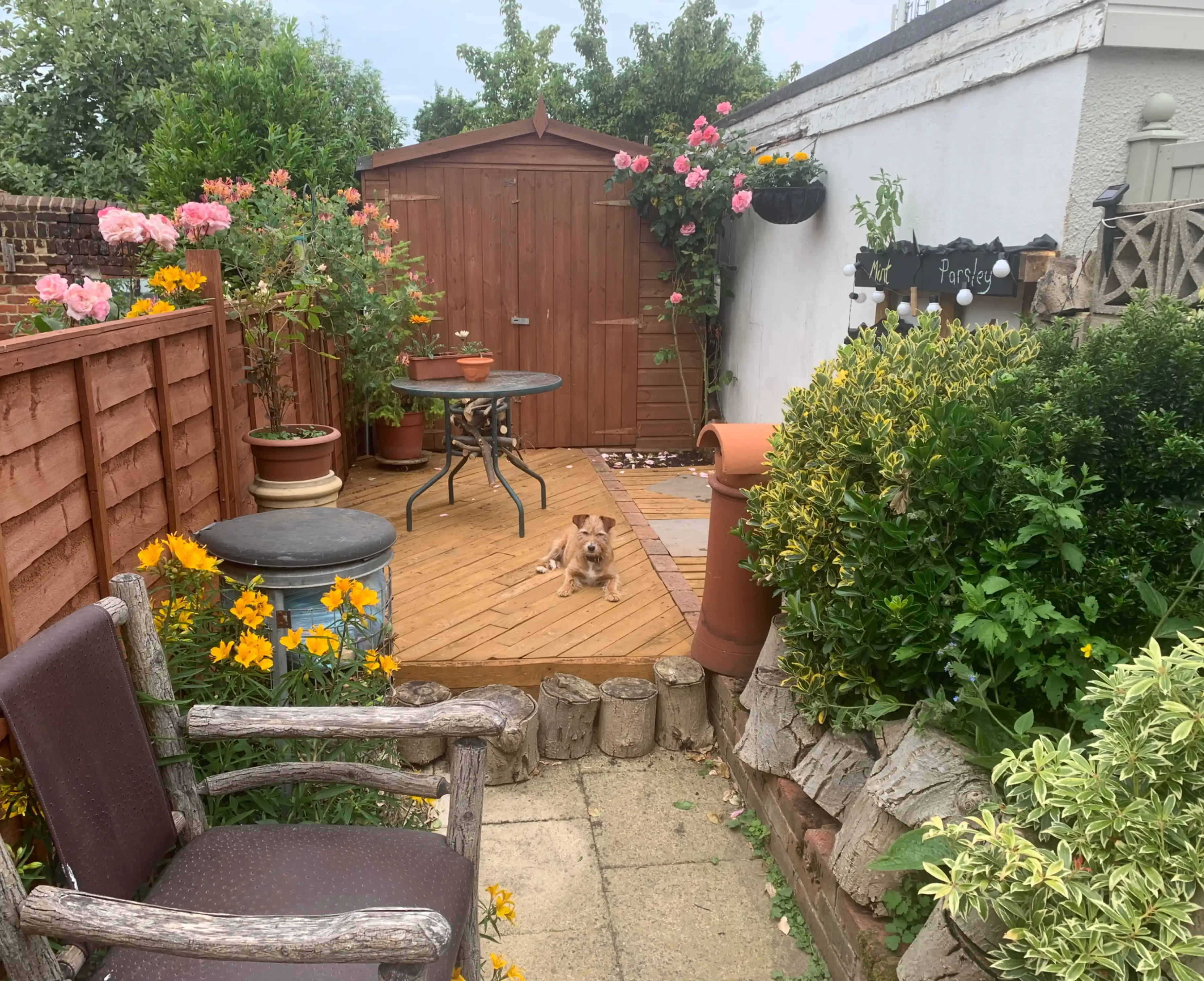 image-8