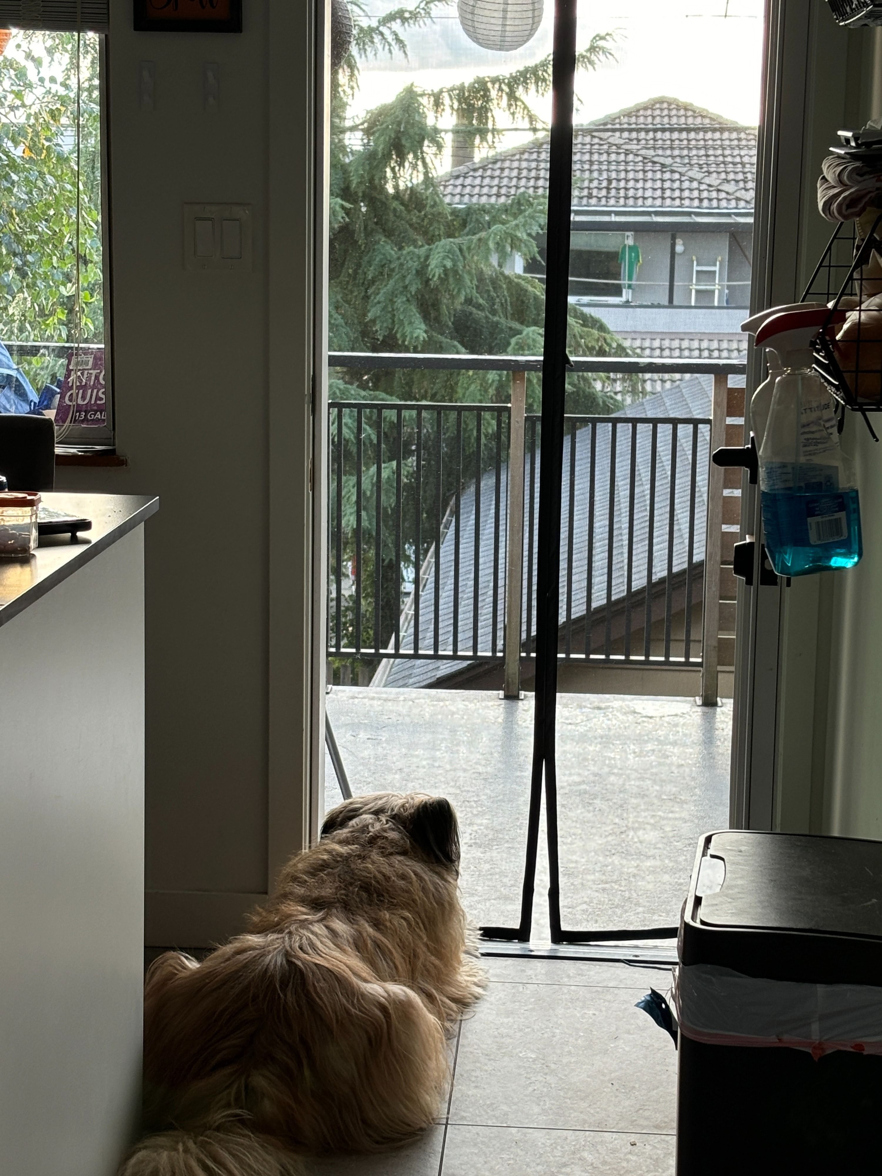 image-28