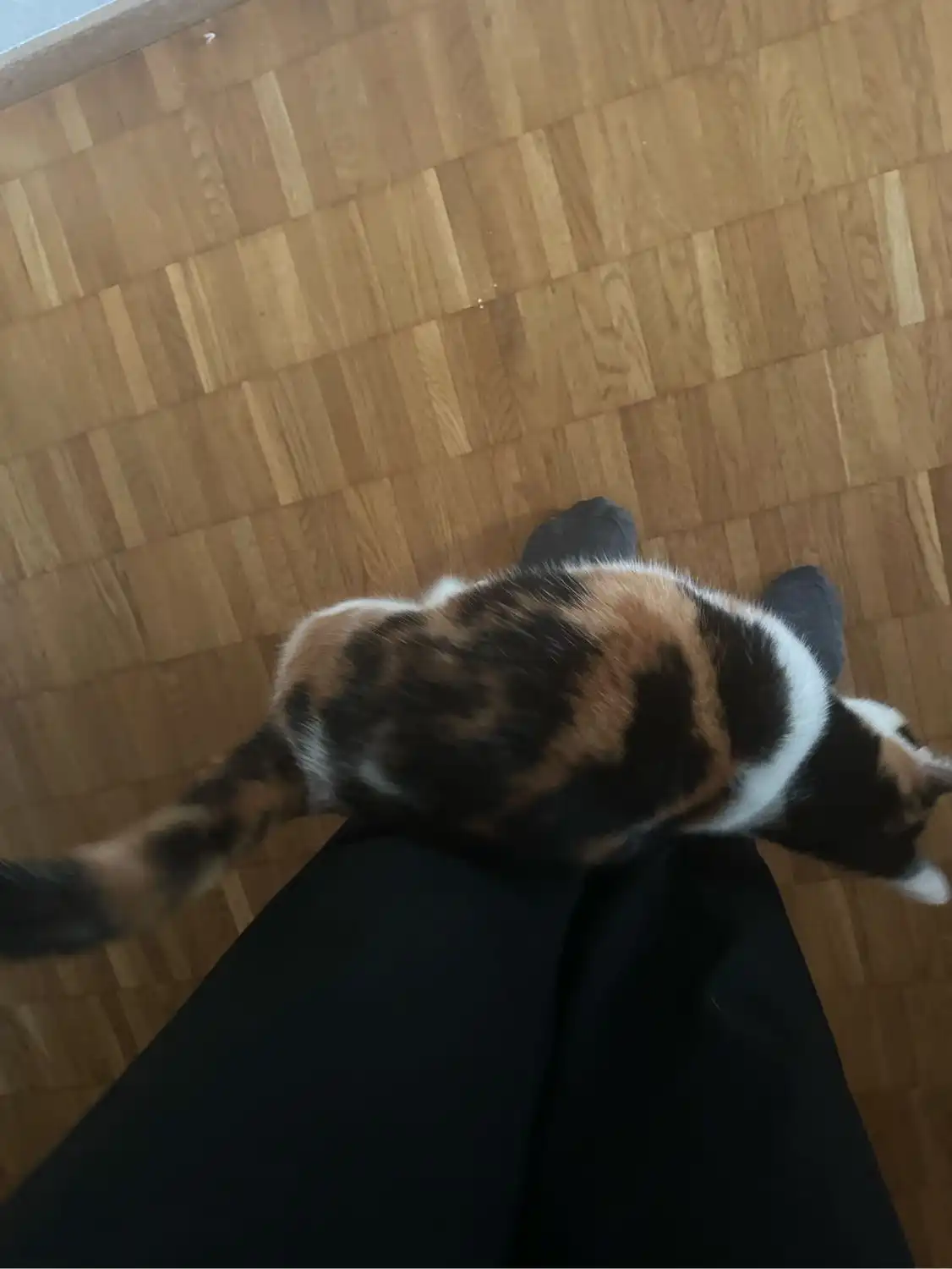 image-6