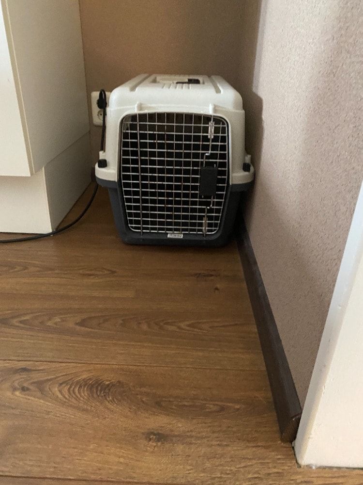 image-19